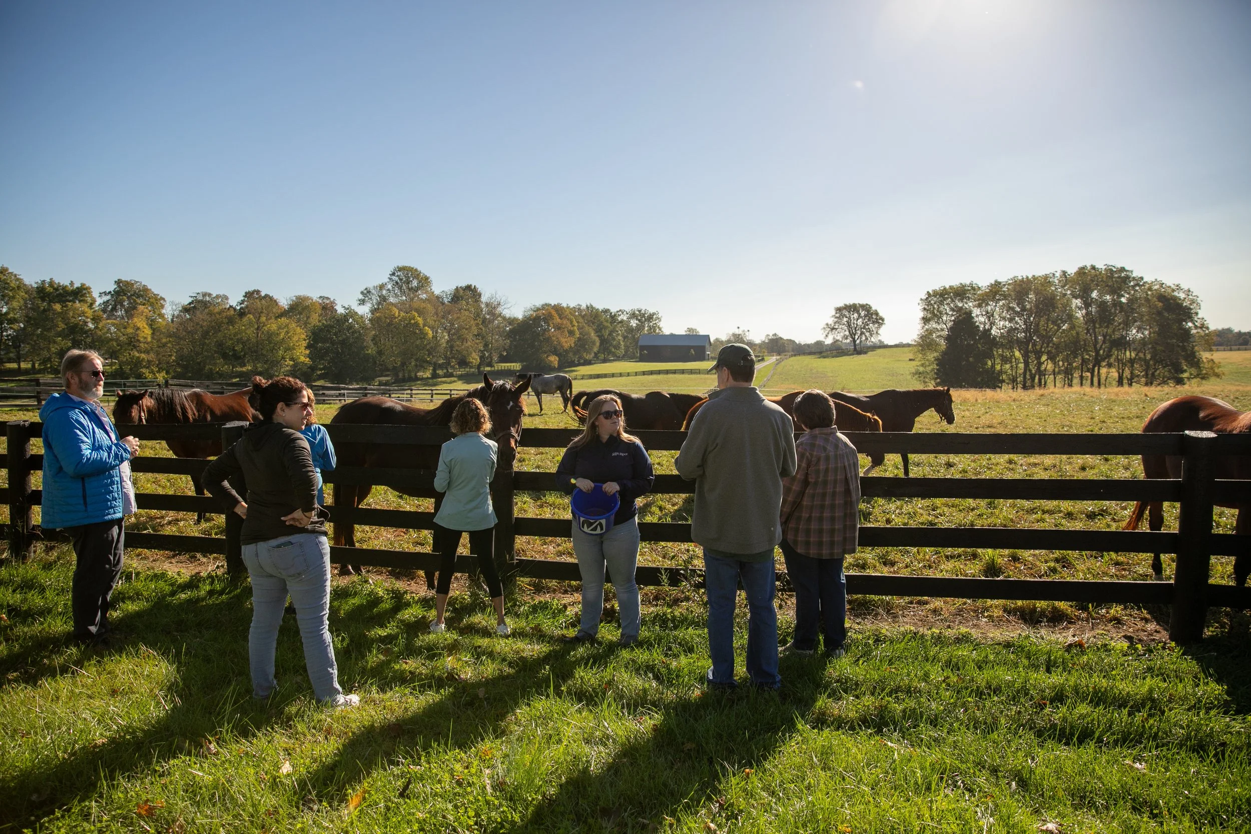 Tours + Shop — Mill Ridge