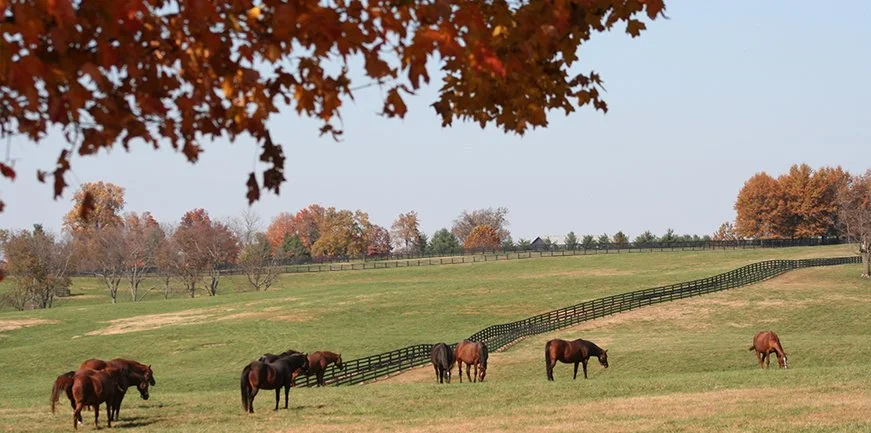 The Ultimate Bluegrass Autumn Tour Mill Ridge