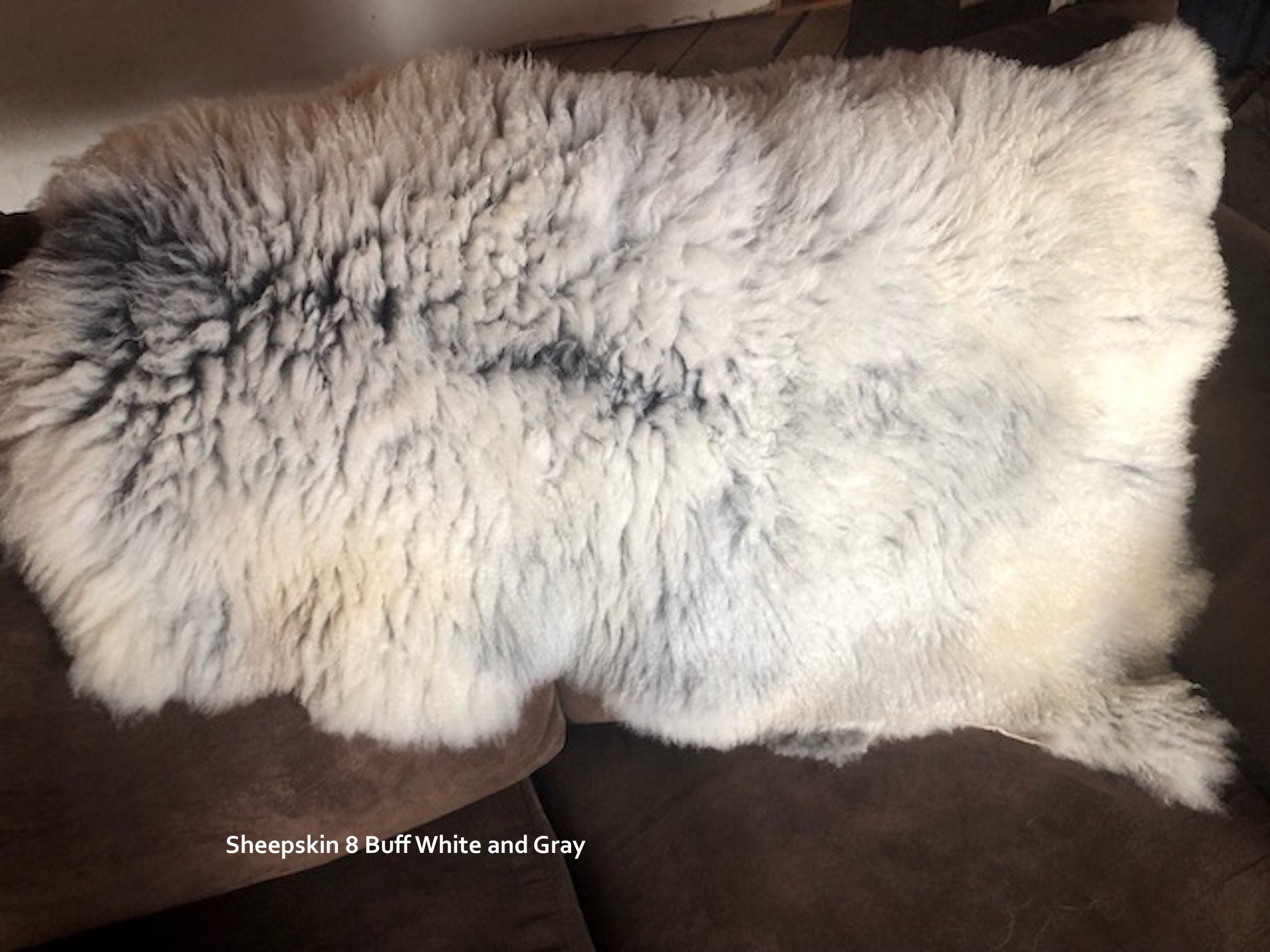 Sheepskin 8.jpeg