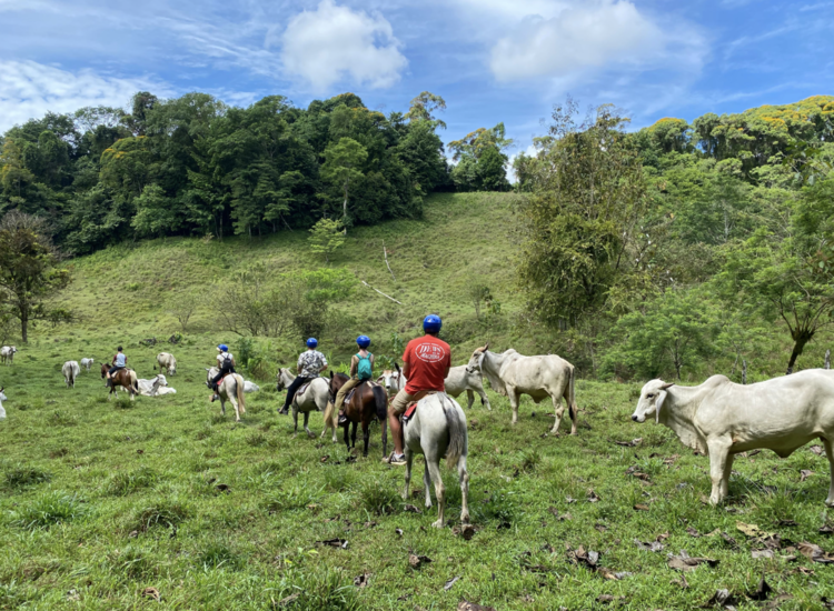 HorseBack Riding Manuel antonio quepos costa rica.png