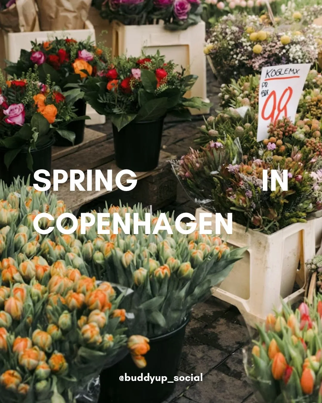Copenhagen is turning pink, the days are getting longer, and the sun is finally warming those first real spring moments. 🌸 What better time to explore the city&rsquo;s most beautiful parks in full bloom?
These are our favourites, but hey, if you kno
