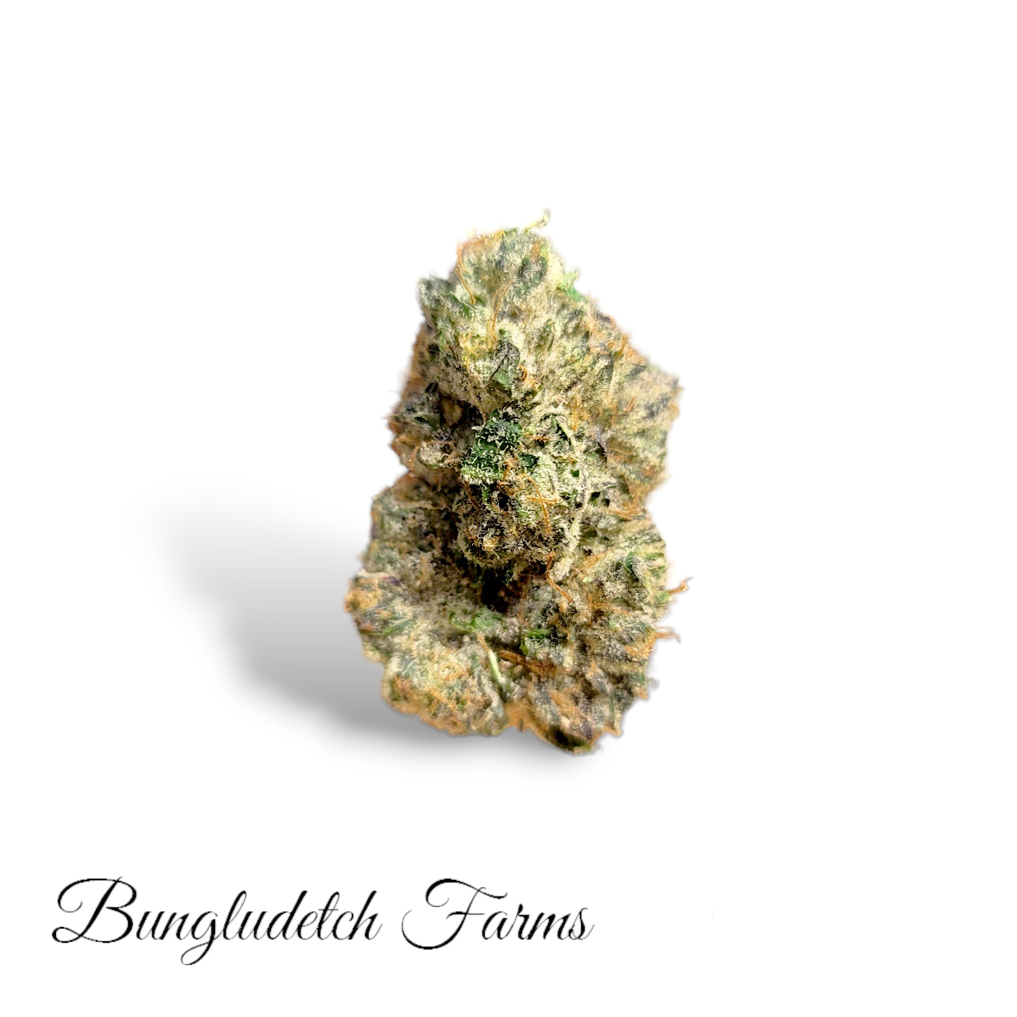 Bungludetch Farms Now Available! — Tru Blooms Wellness