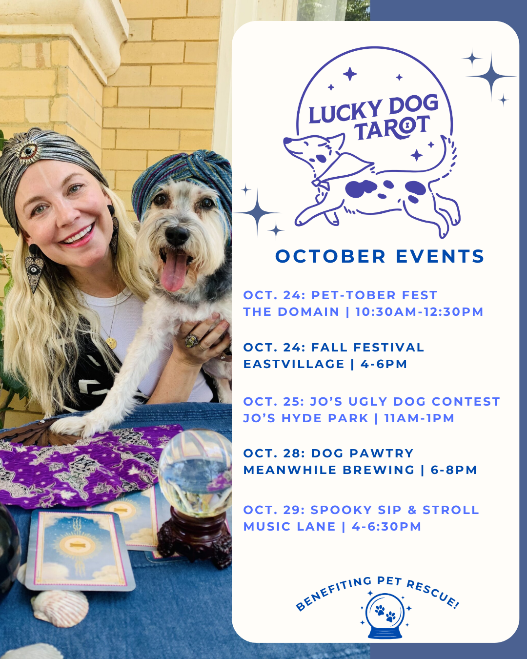 austin dog tarot lineup