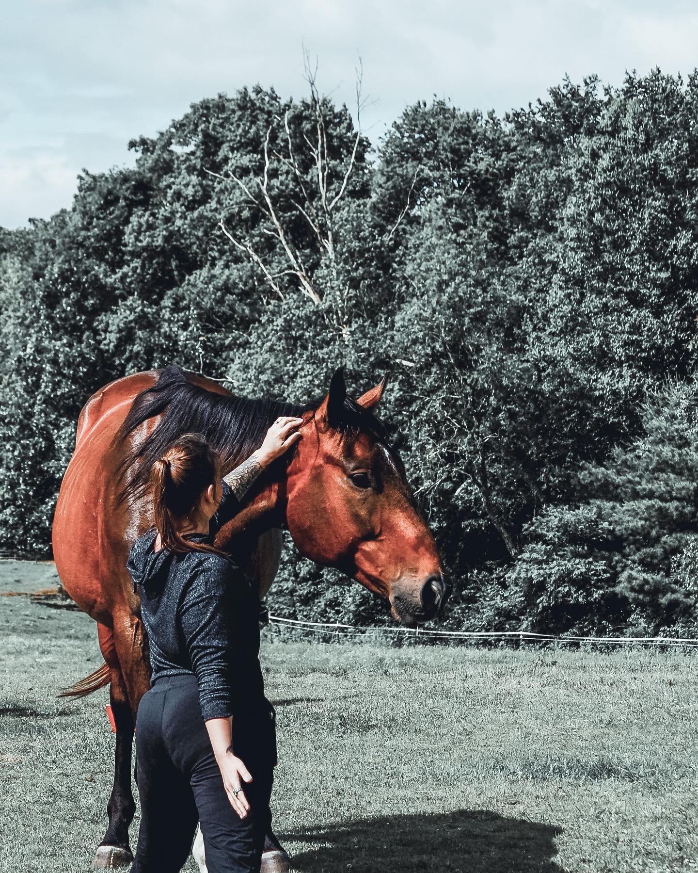 Teaching yoga with horses has been on my bucket list for a long time. I heard about @comeback.project several months ago and was really intrigued by their work rescuing horses and connecting them with those who have experienced trauma, particularly V