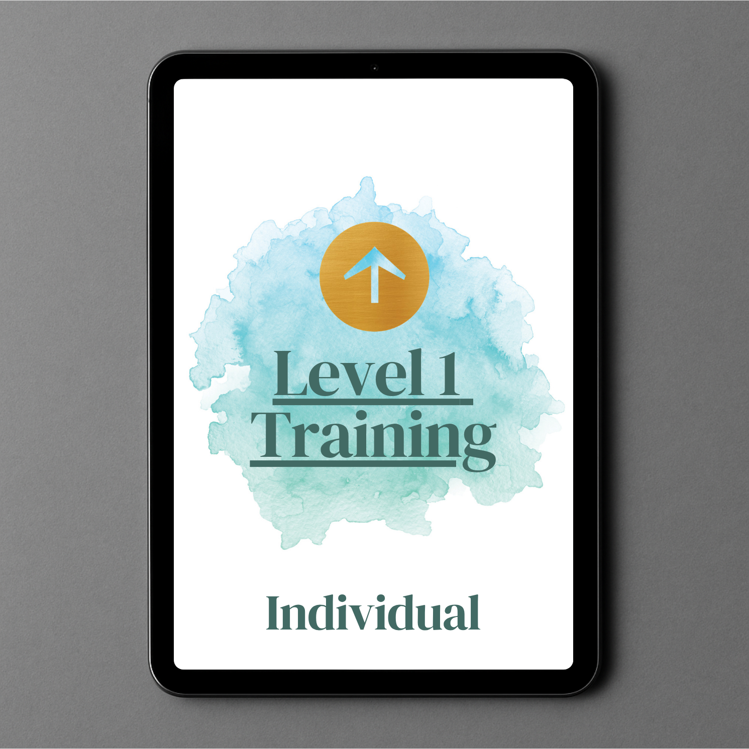 Level 1 Training E-Course (Individual)