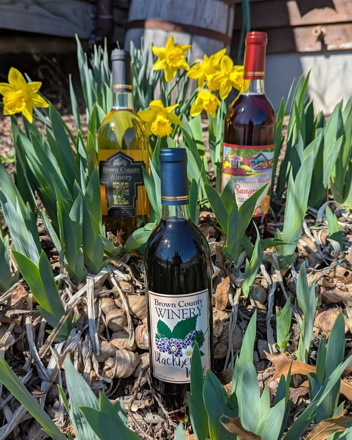 Spring has sprung in Brown County!! Be sure to stop by Brown County Winery when you visit during spring break.  Enjoy a tasting of our wide variety of locally made wines 7 days a week at either of our tasting room locations.  And the whole family can