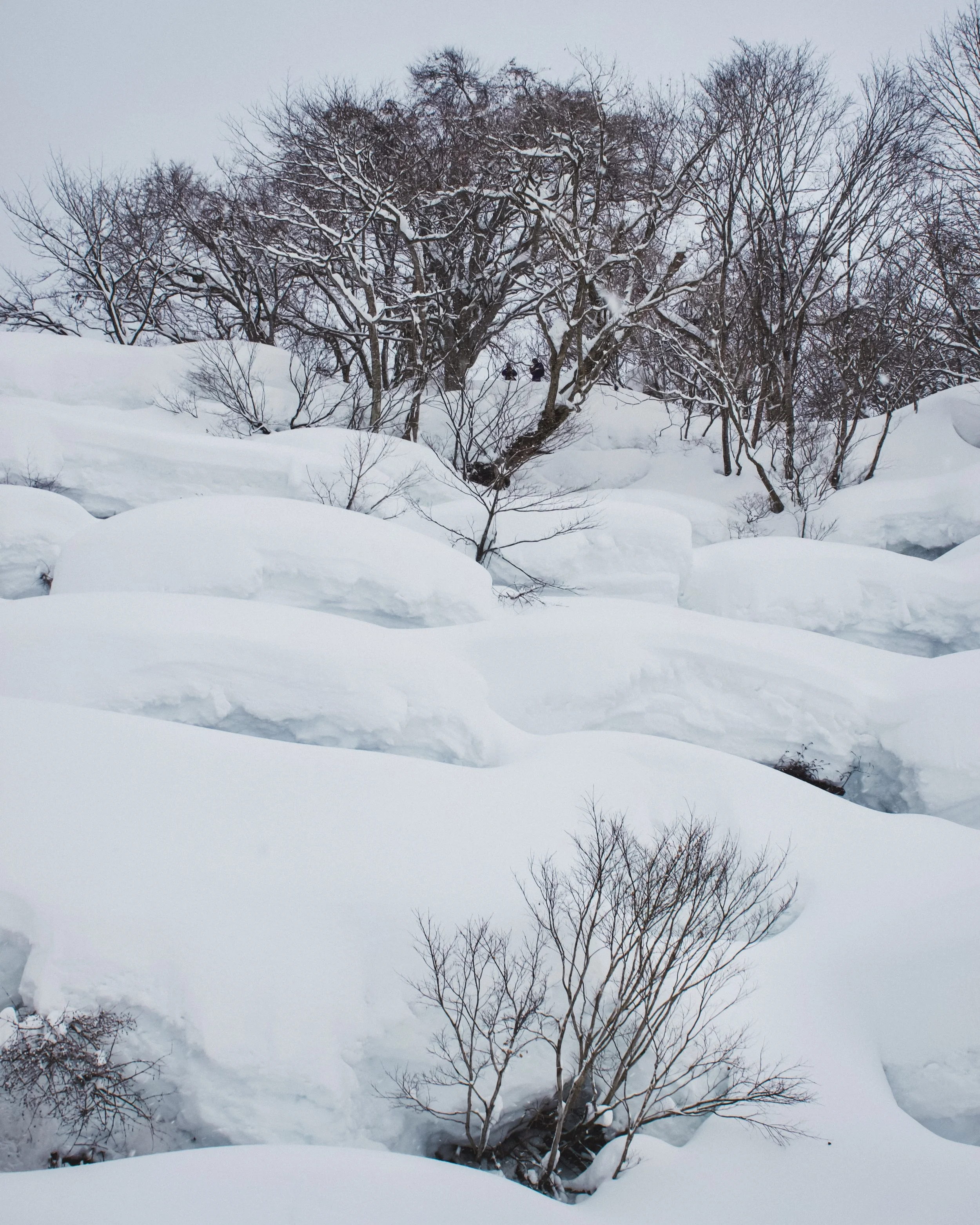 Rider: T.J. Thran / Ph: Emma Limburg