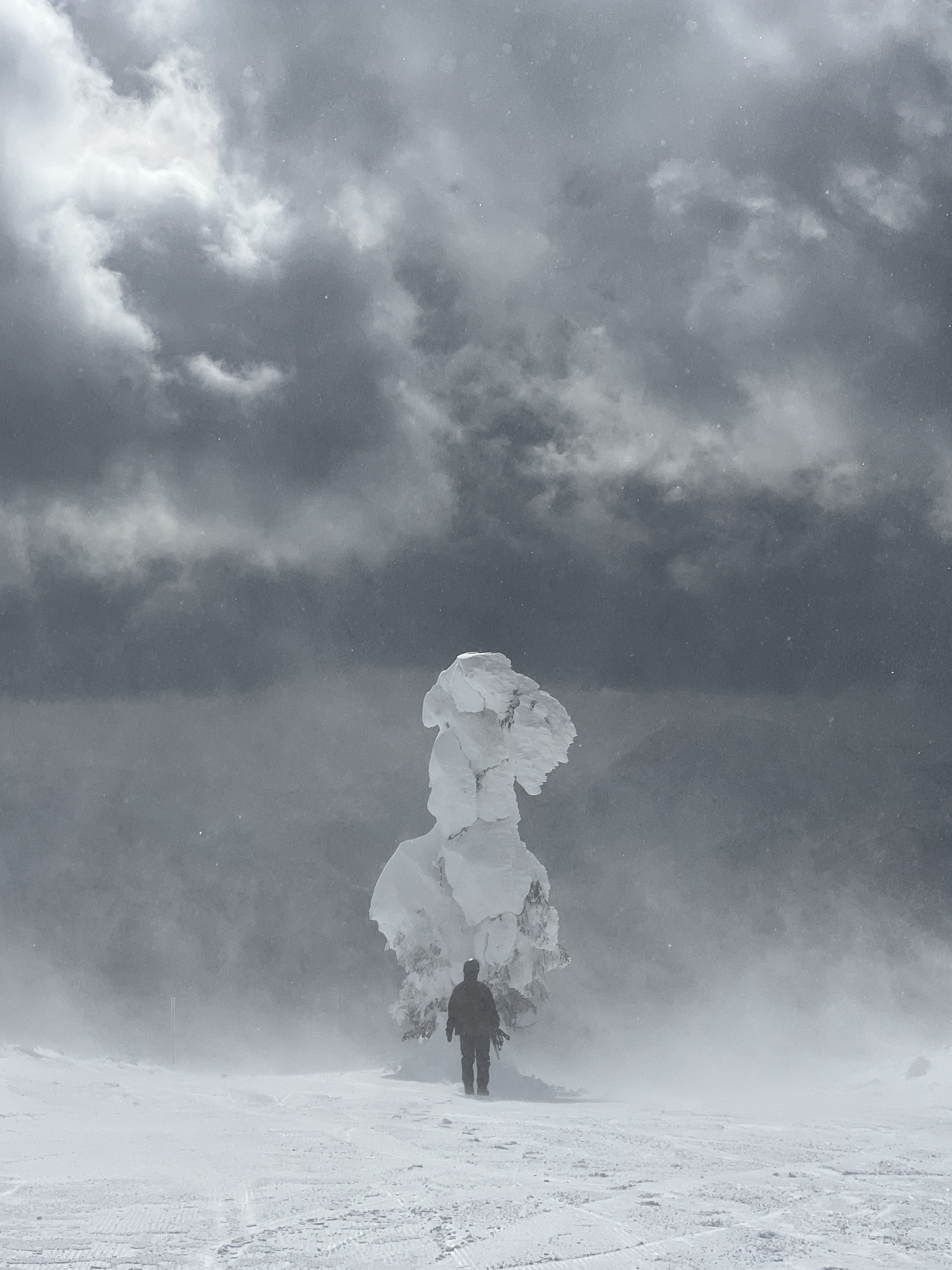 Rider: T.J. Thran / Ph: Emma Limburg