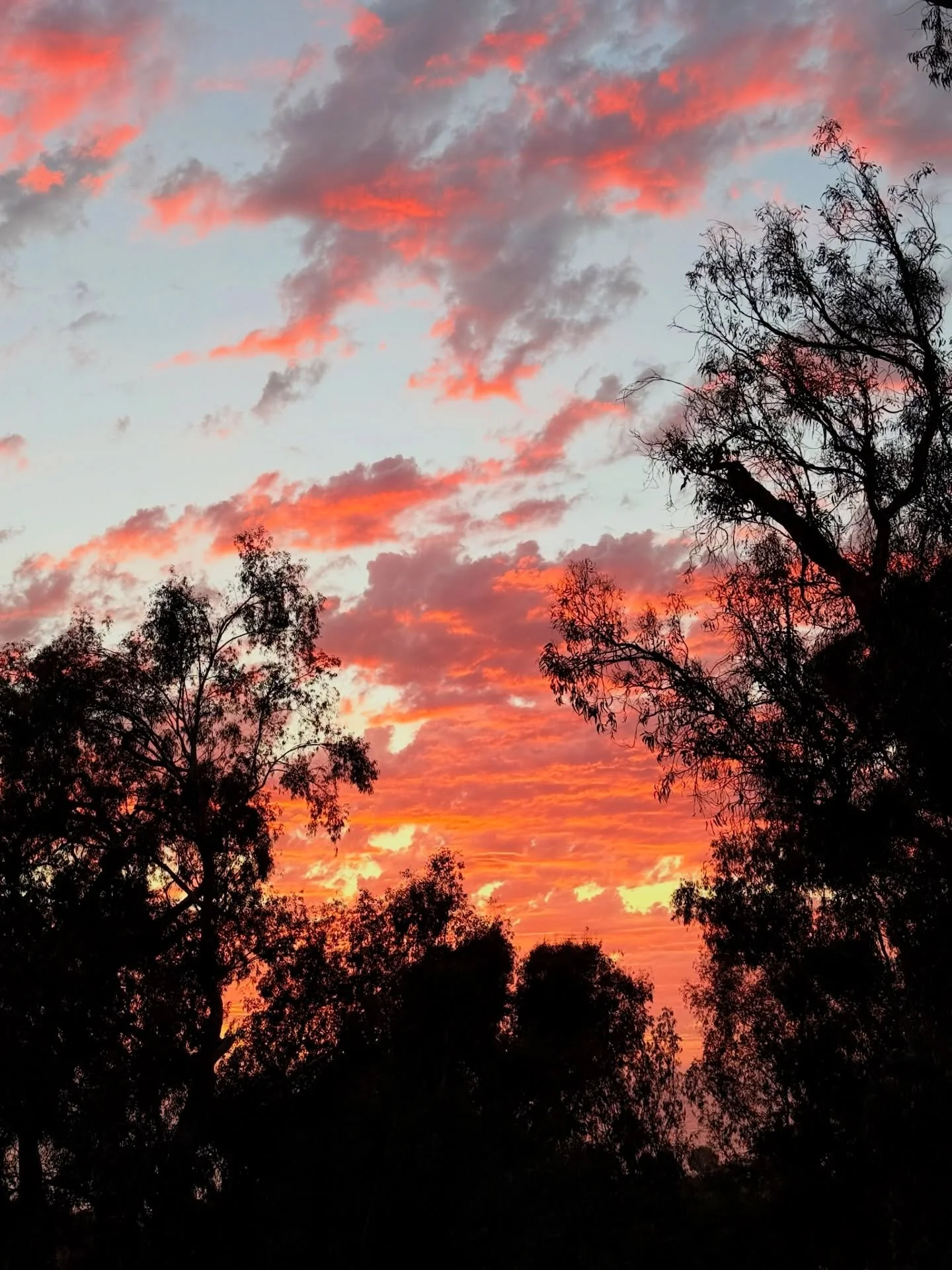 WHAT A WONDERFUL WORLD &mdash; There&rsquo;s something about travel that always fills my cup &mdash; gratitude, perspective, and that quiet reminder of how much beauty this world holds when we slow down long enough to notice it.

On a recent trip to 