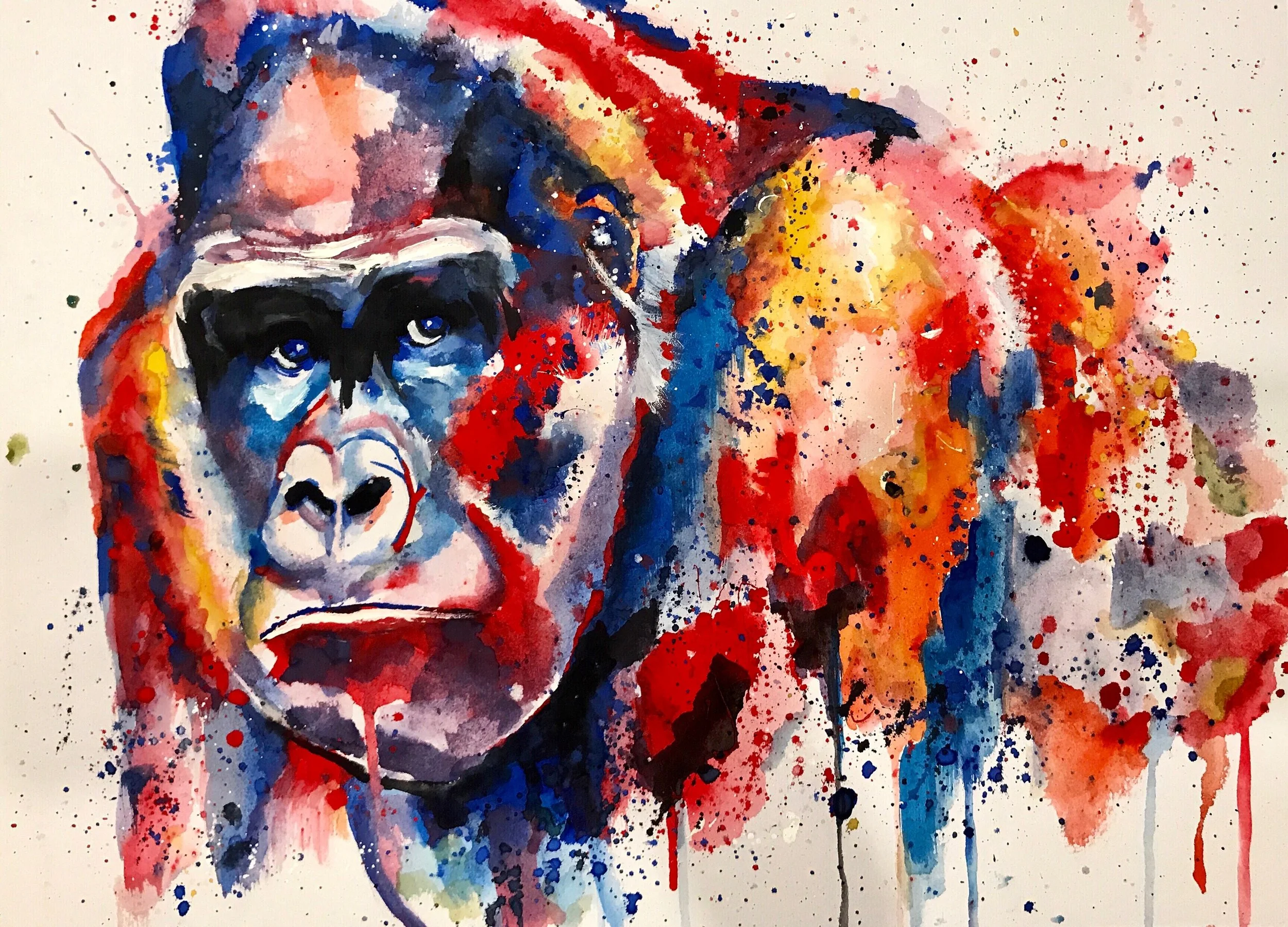 A colorful watercolor painting of a gorilla with vibrant splashes of red, blue, yellow, and orange, creating an abstract background.