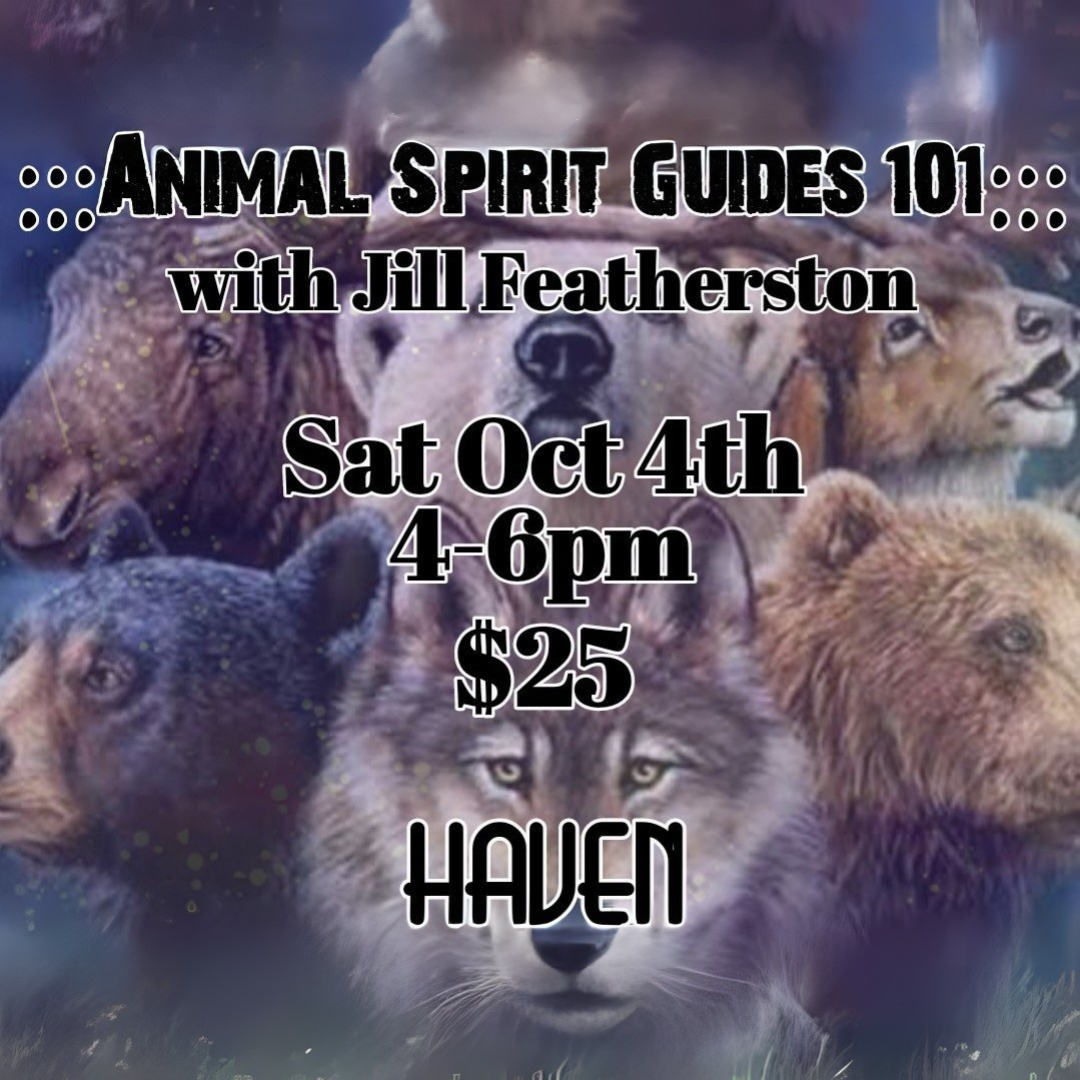 Animal Spirit Guides 101