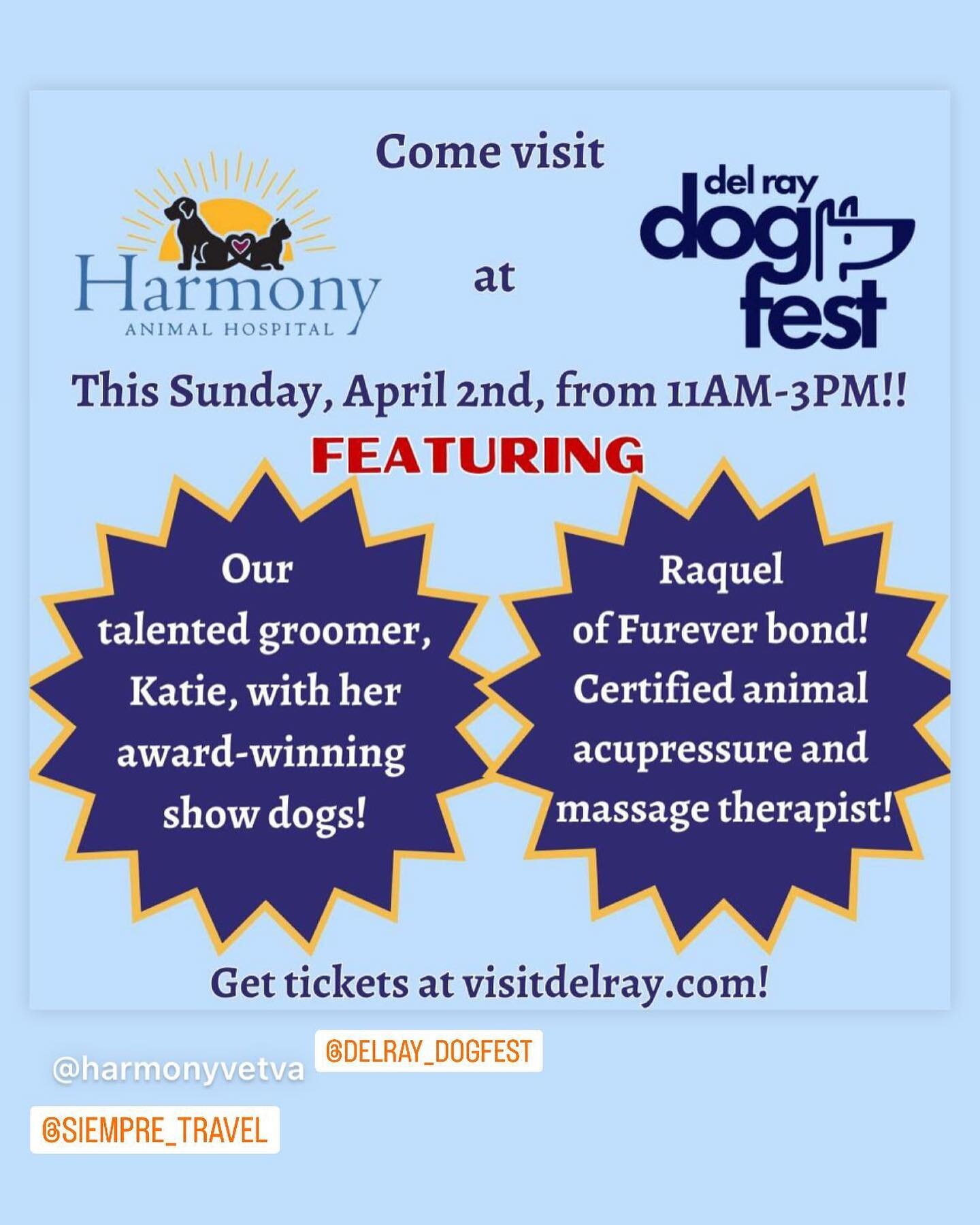 Come visit us at the Del Ray Dog Fest this Sunday between 11am - 3pm! #delrayva #virginia #dmvarea #washingtondc #dogsofinstagram #dogs #massage #acupressure #grooming #petcare #vet #alexandria