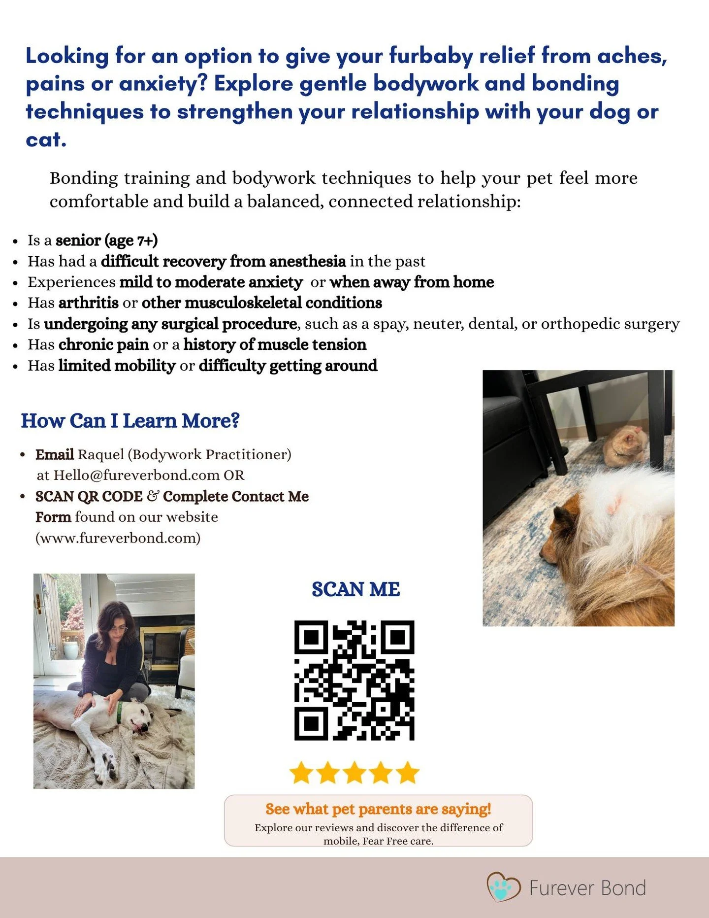 Check out our snazzy new fliers! Spread the word to anyone who could use some pawsitive vibes from Bodywork! We&rsquo;re rolling out the welcome mat for more furry friends and their humans to join the Fureverbond family. 🐾

Has your furbaby already 