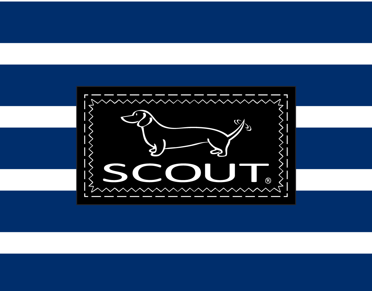 SCOUT Bags Art Direction