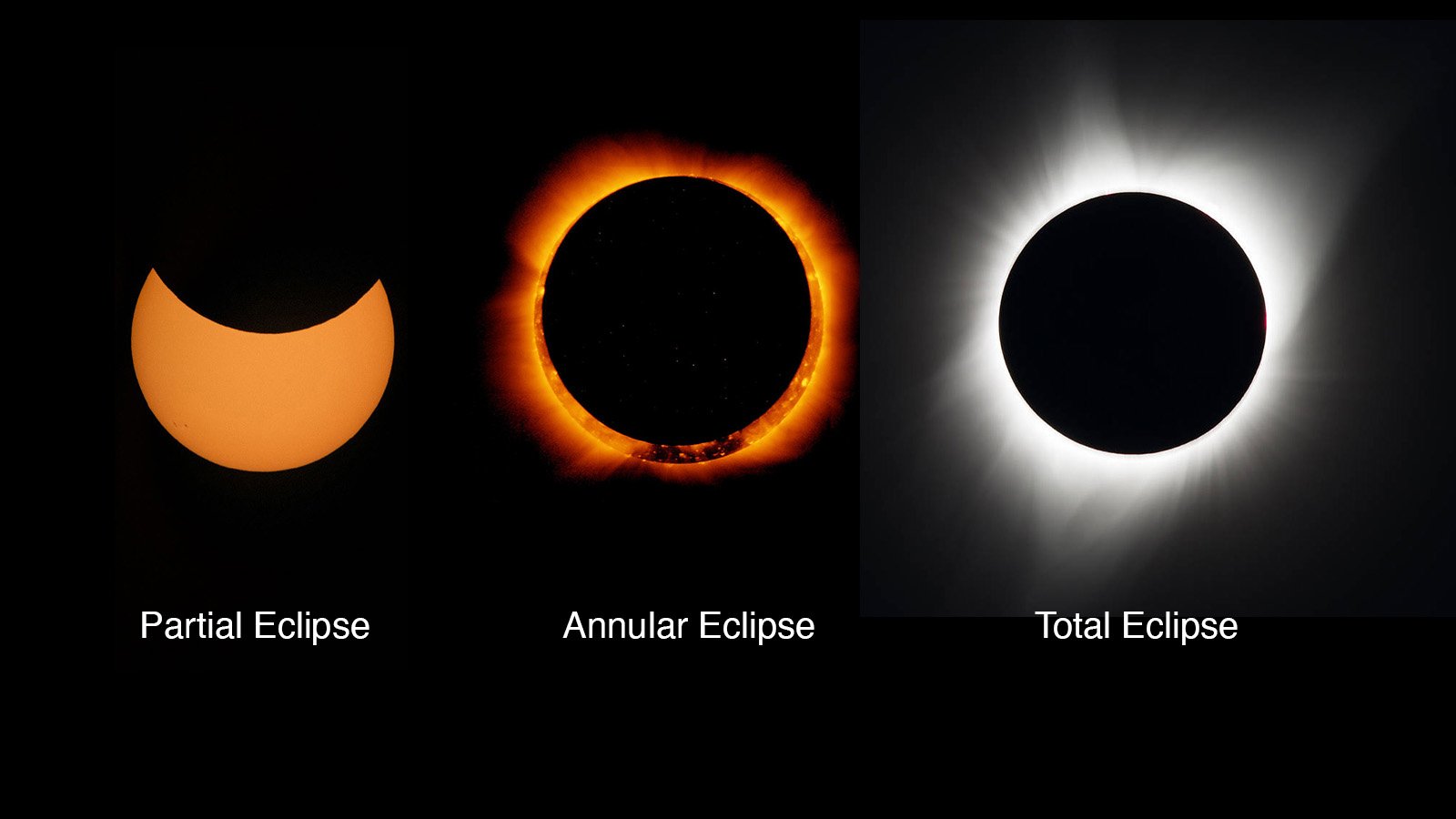 Solar Eclipse Freebies