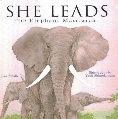 A matriarch elephant with two calves behind her eating tree leaves.