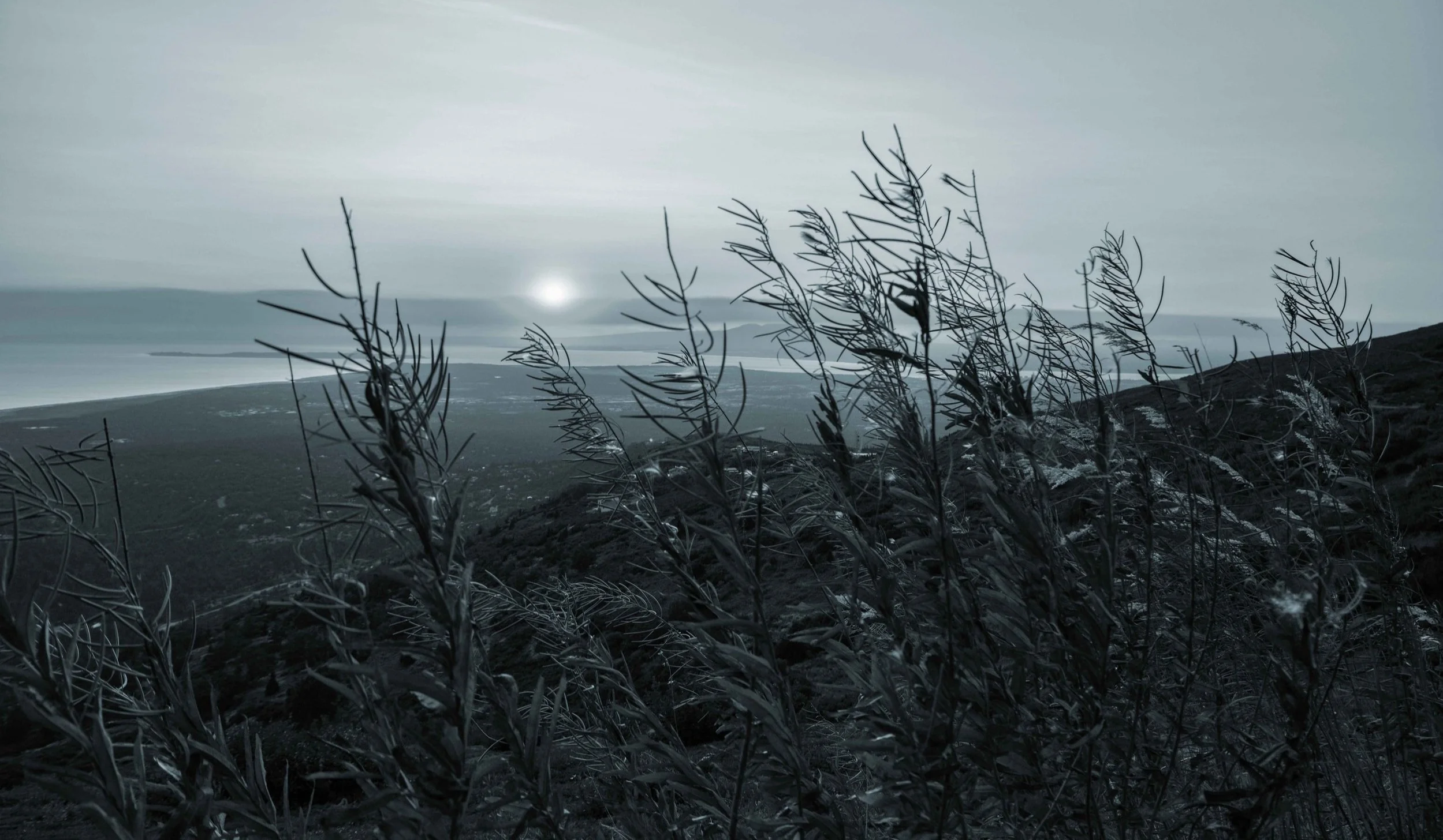iStock-1183071276-%282%29-blue.jpg