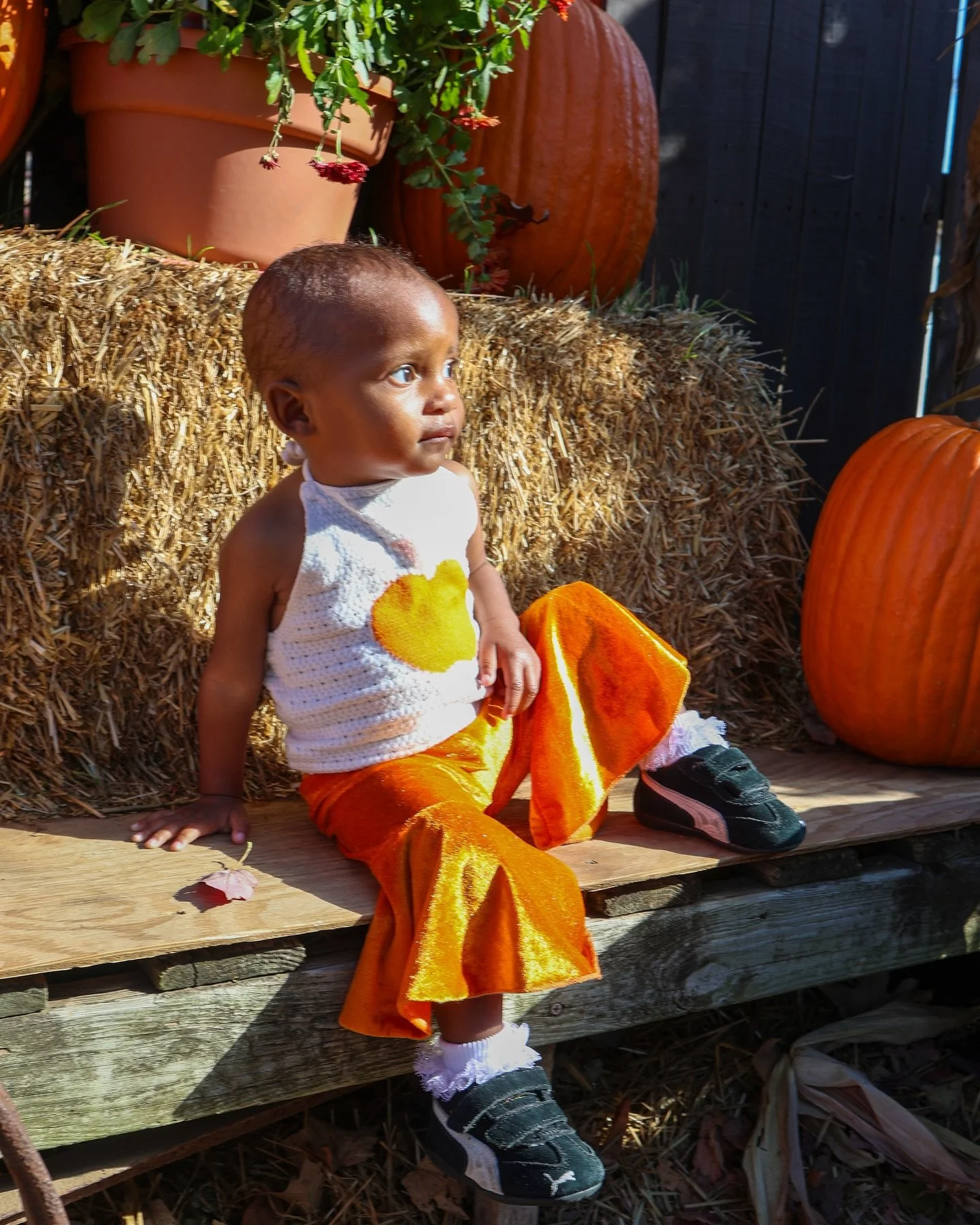 We are soaking up all the autumn magic this season! From apple-picking at Doc Waters Cidery to pumpkin-patch adventures at Cox Farms, we're celebrating fall the best way we know how - with community, smiles, and seasonal treats! 🎃🍎