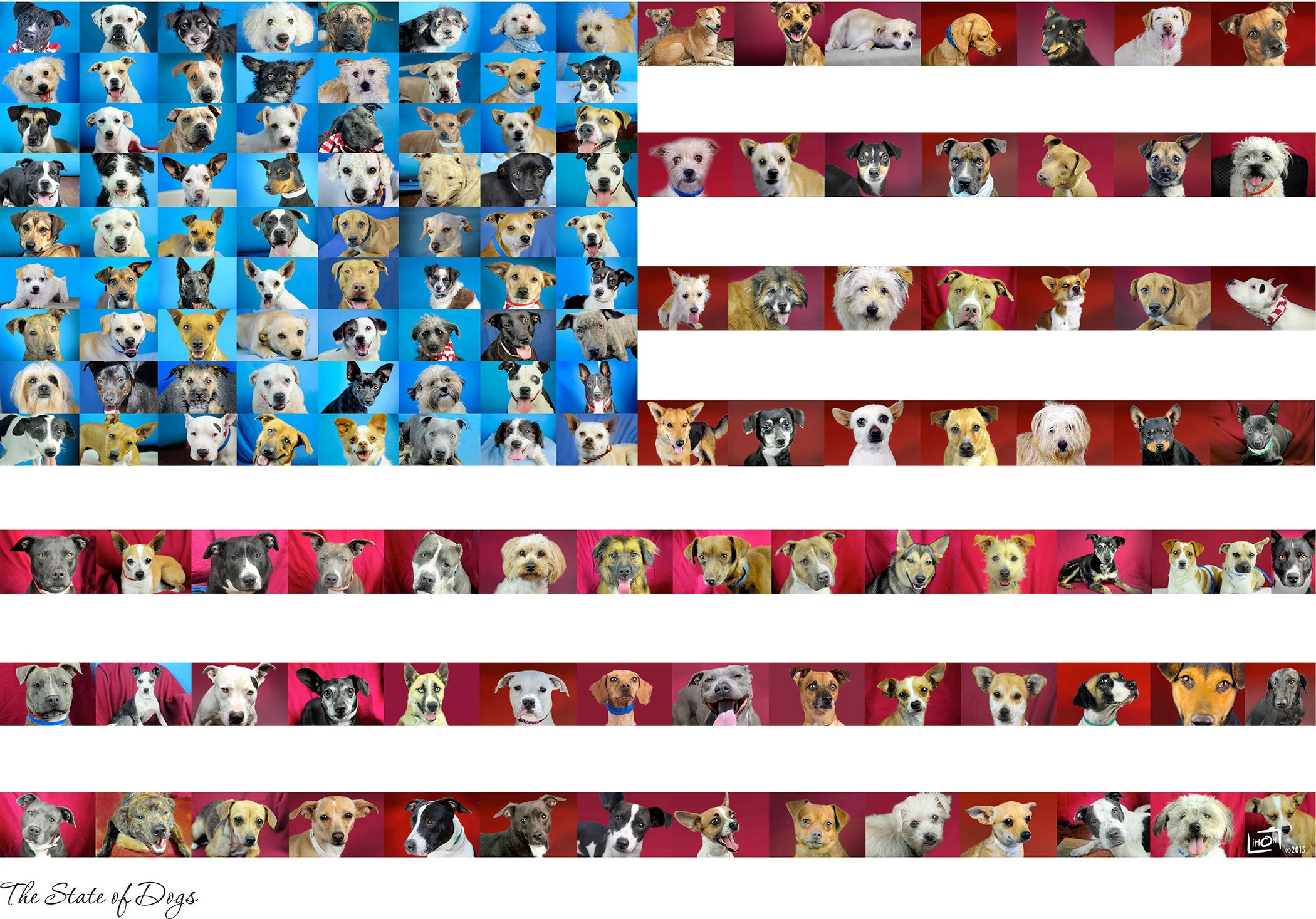 pupcollagenew22.jpg