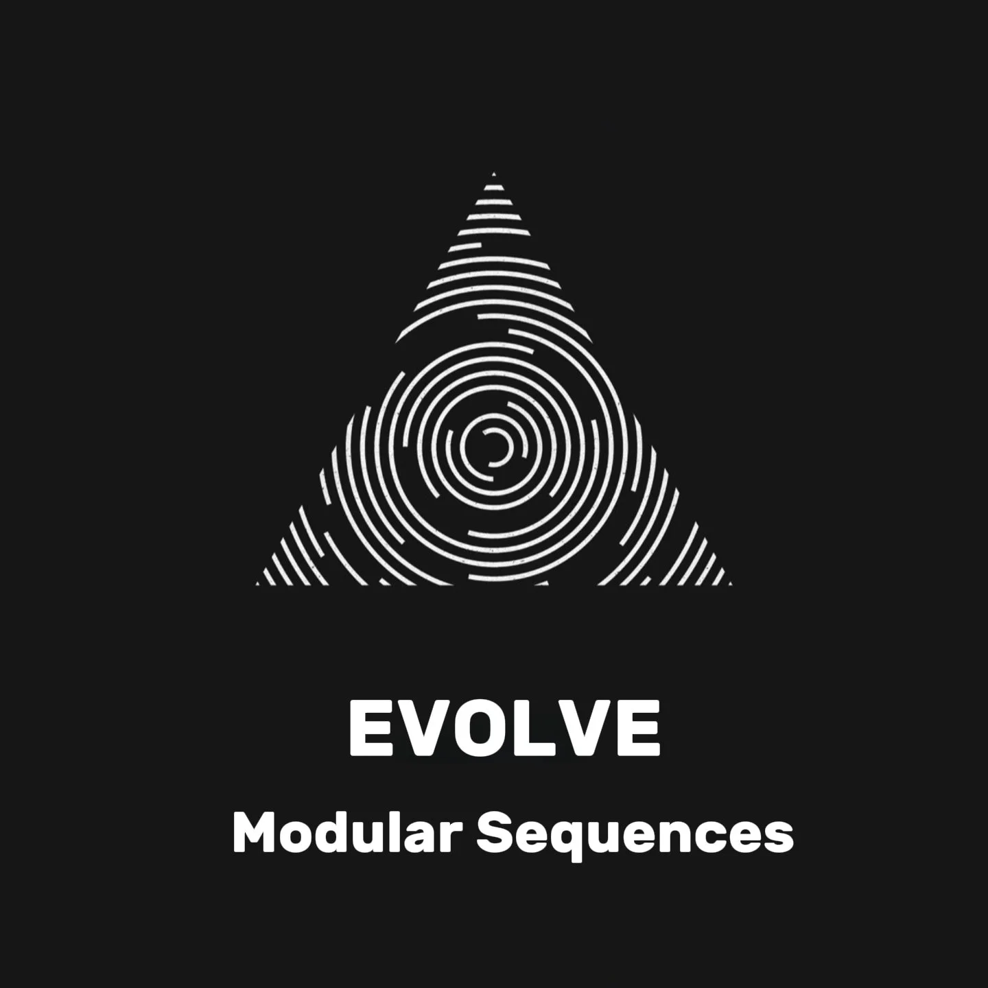 Modular Sequences art.jpg