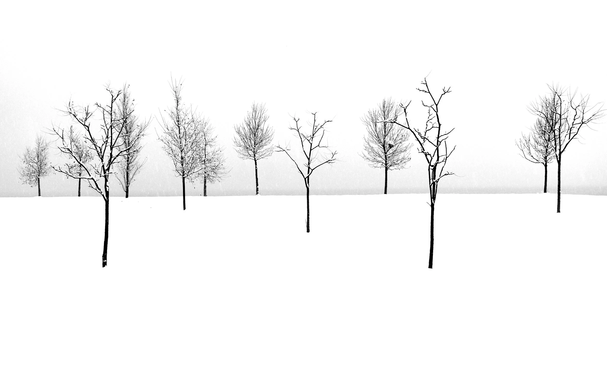 L1000046.jpg