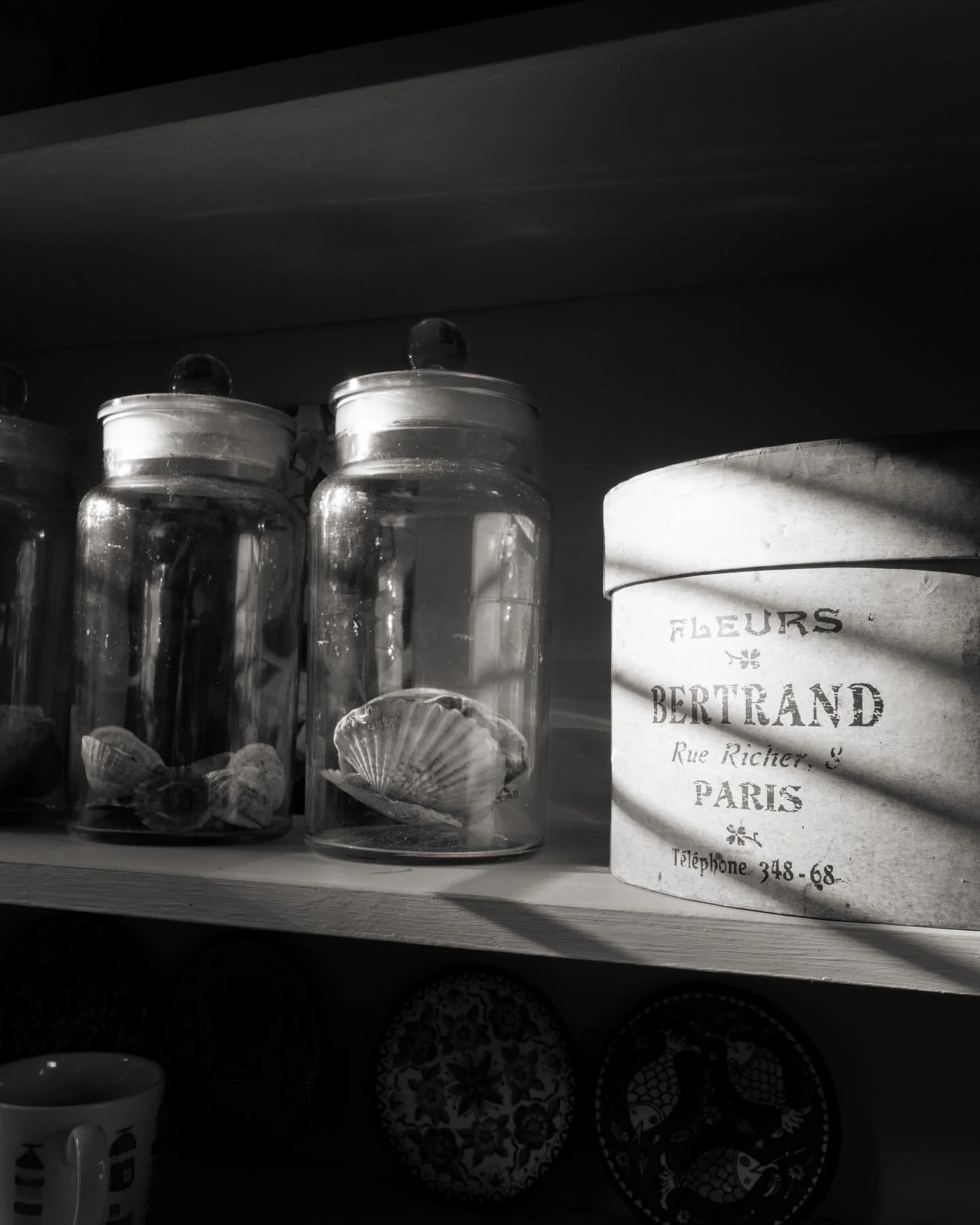 Morning light into the kitchen