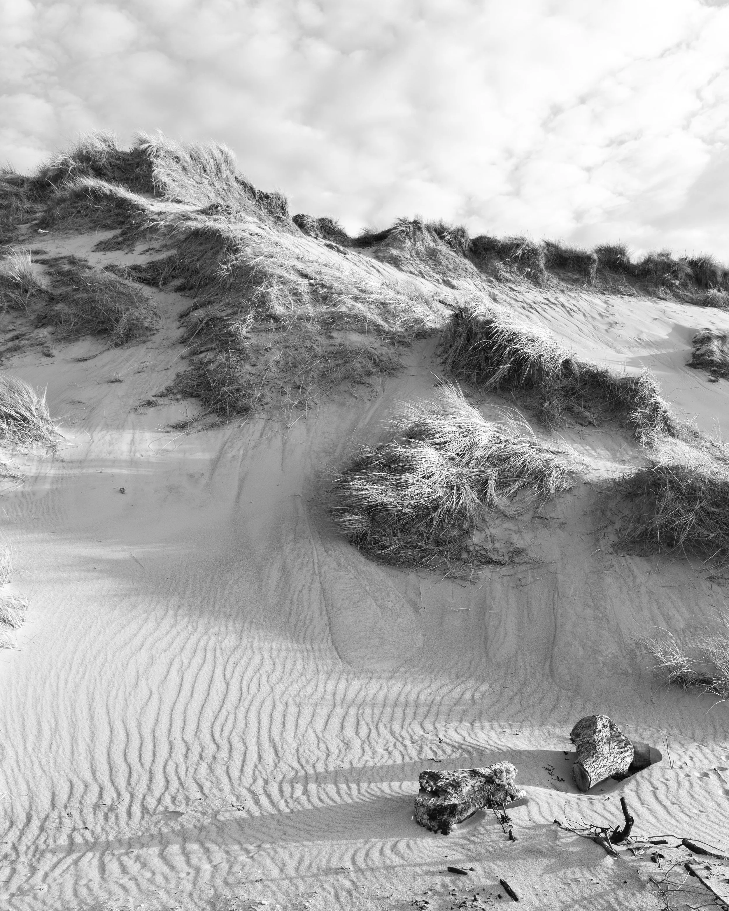 Place : Tyninghame Beach,  Scotland