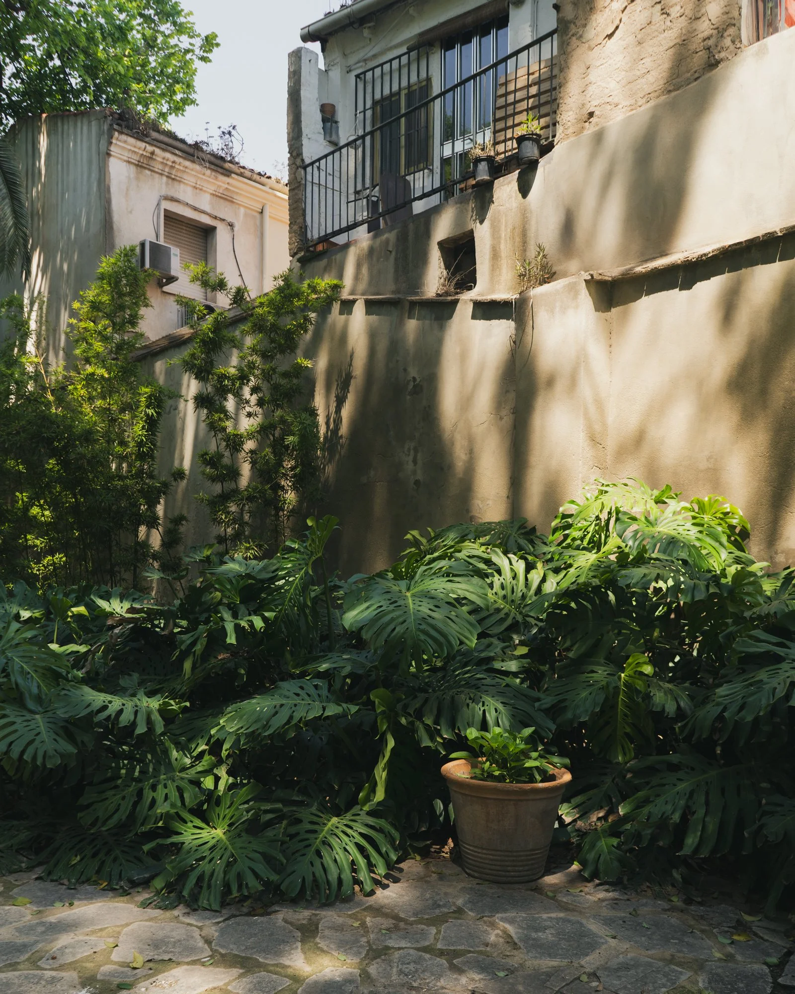 Jardí Botànic Valencia-6.jpg