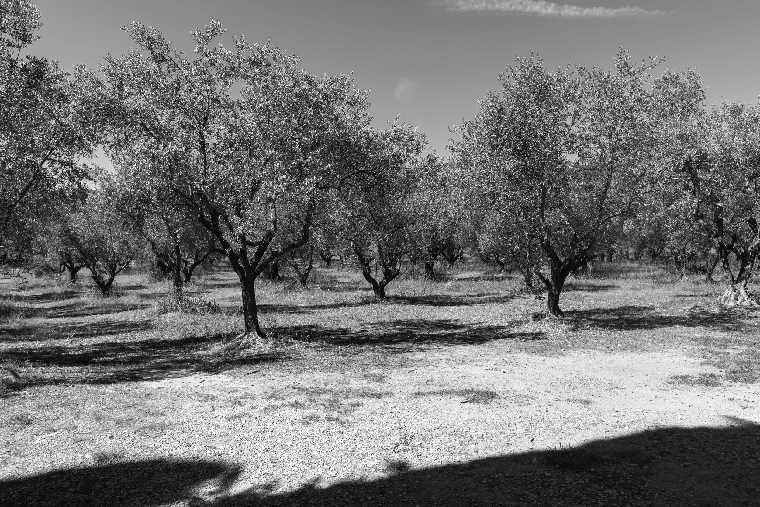 lourmarin-3.jpg