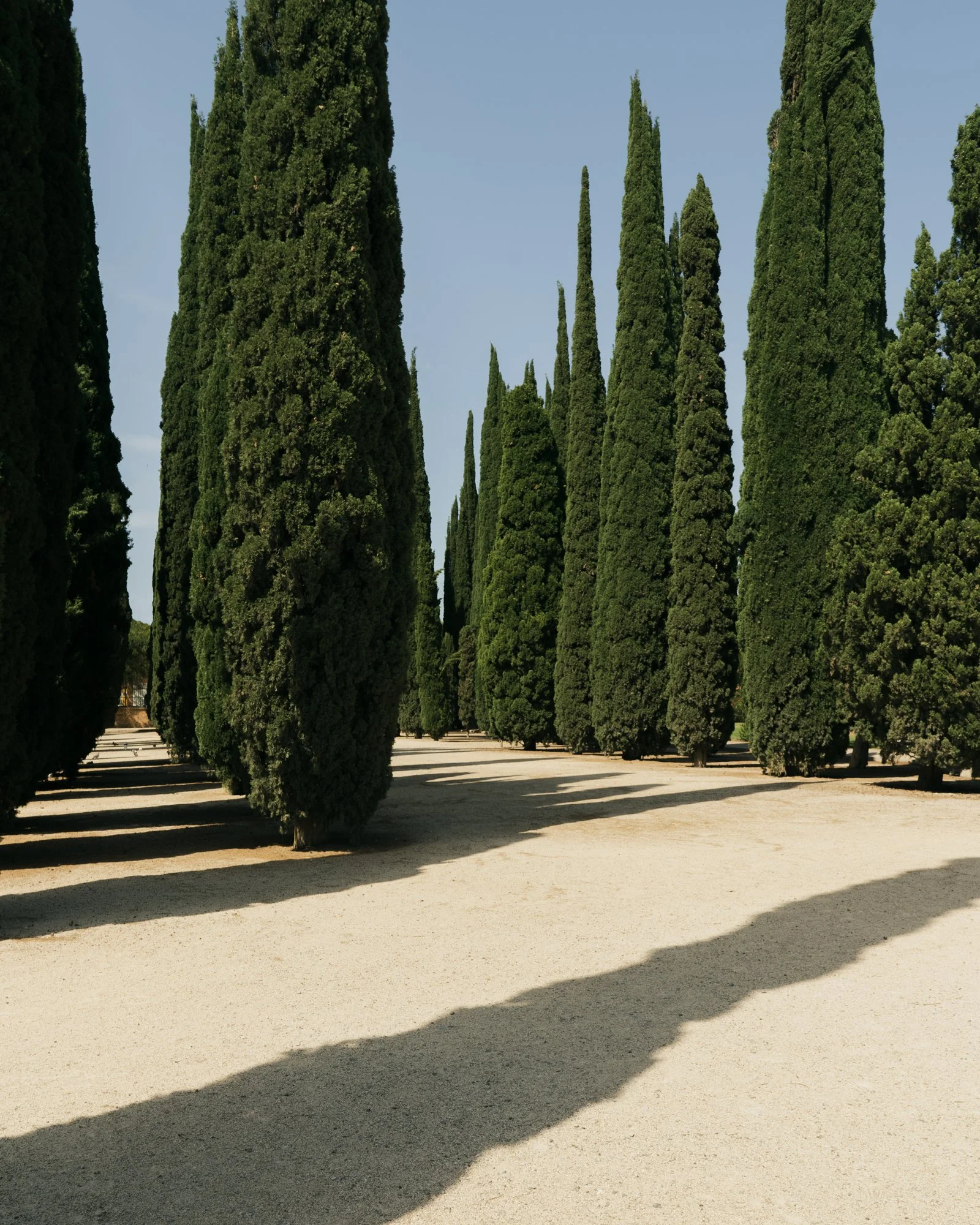 Jardins del Real - Vivers-3.jpg