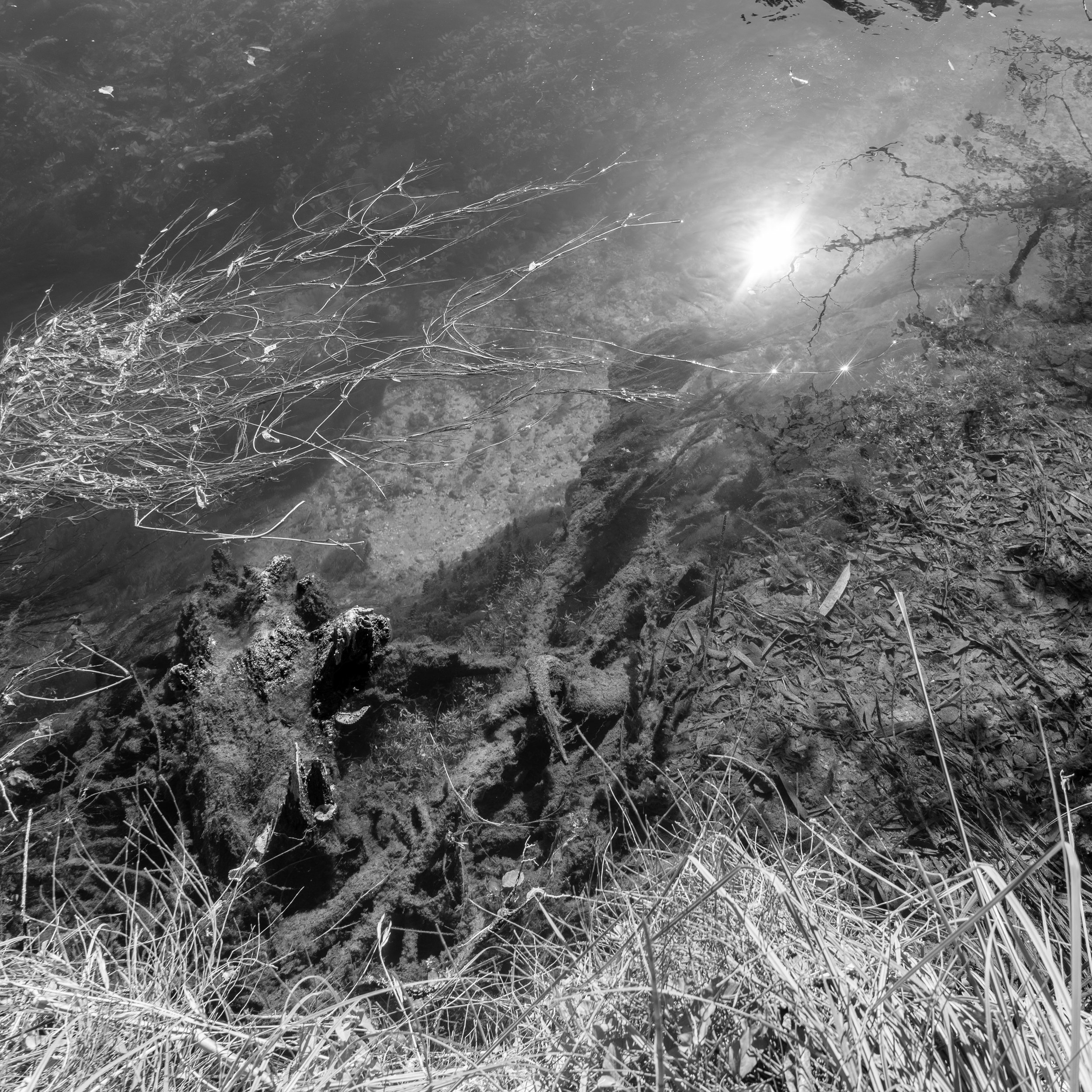 isle la sur sorgue stream.jpg