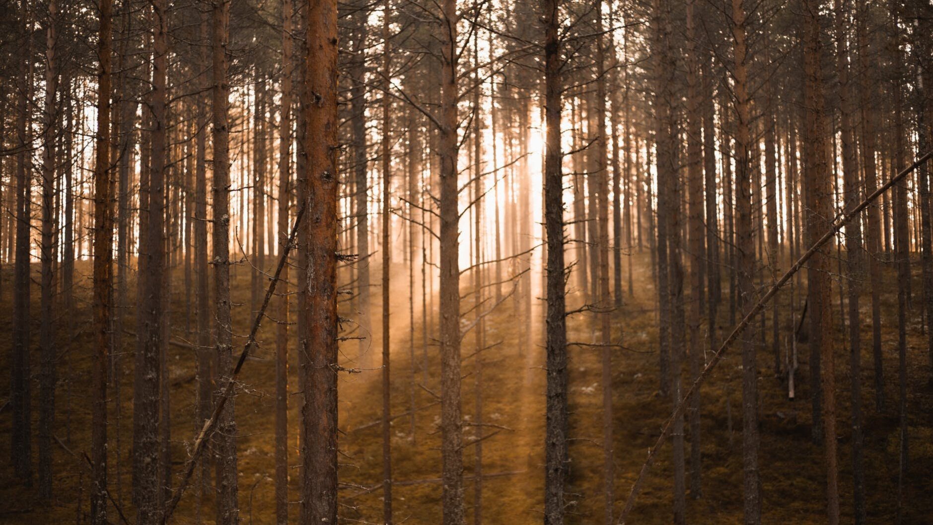 The power of silence