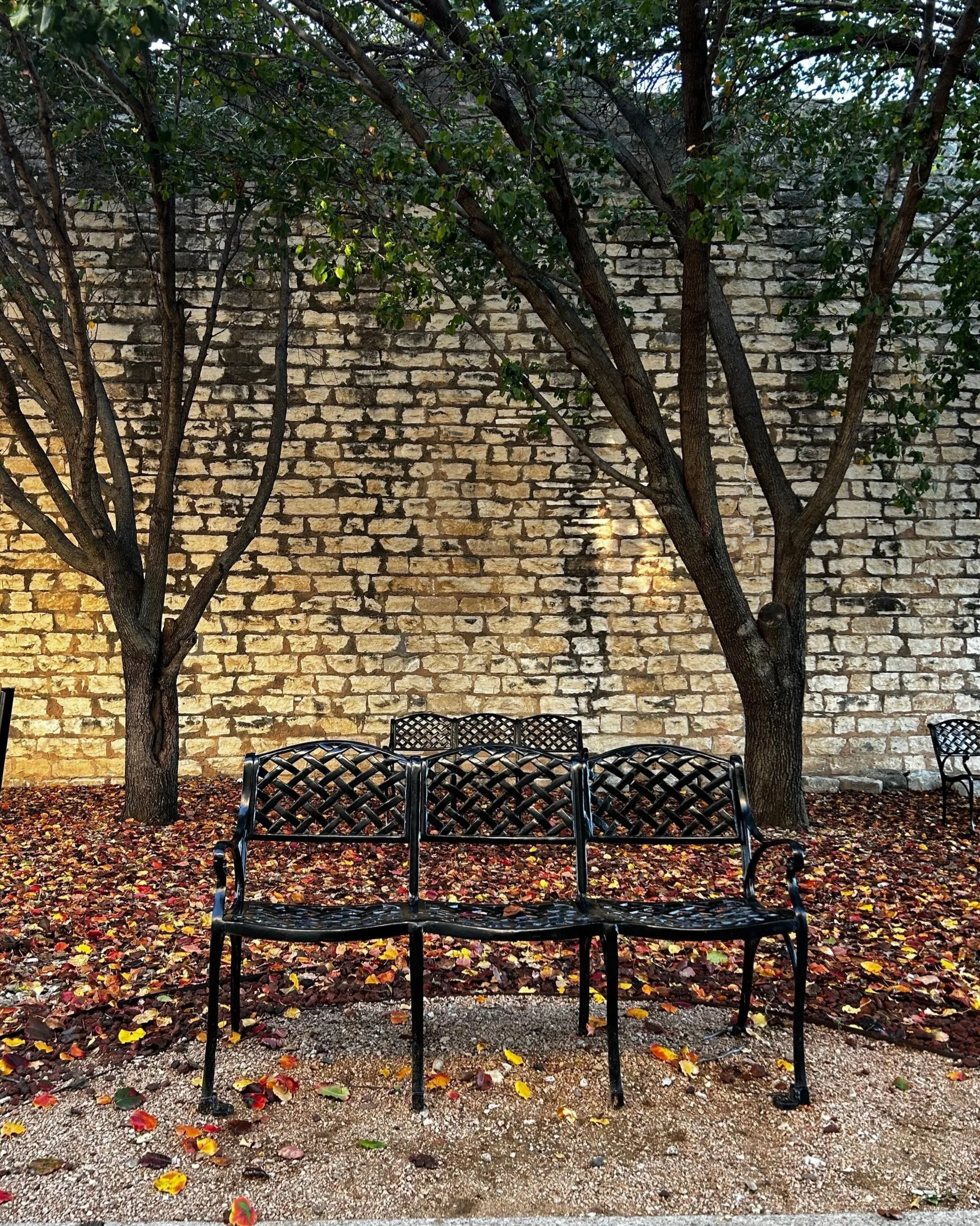 Forgive The Inconvenience