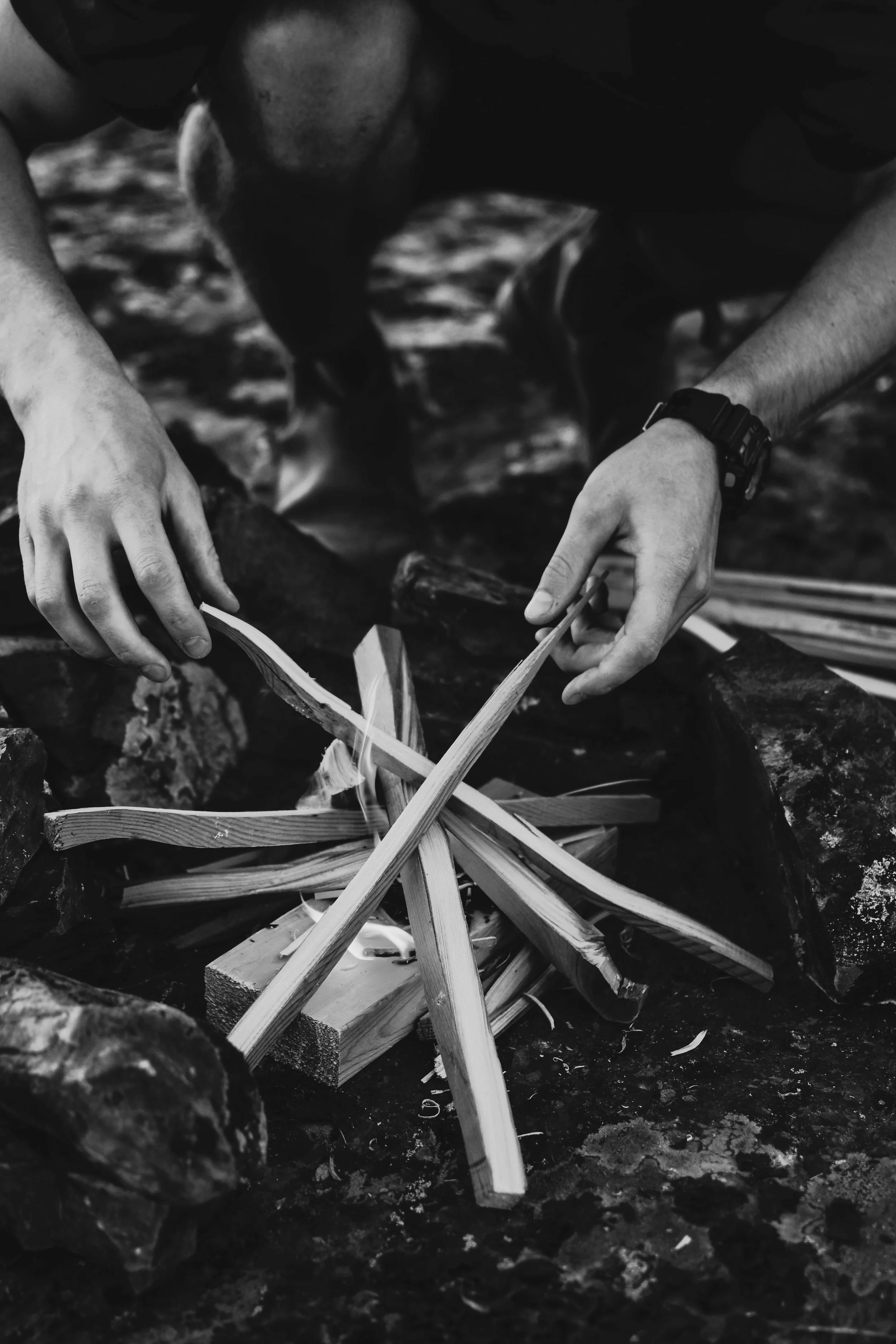 Formed by Survival