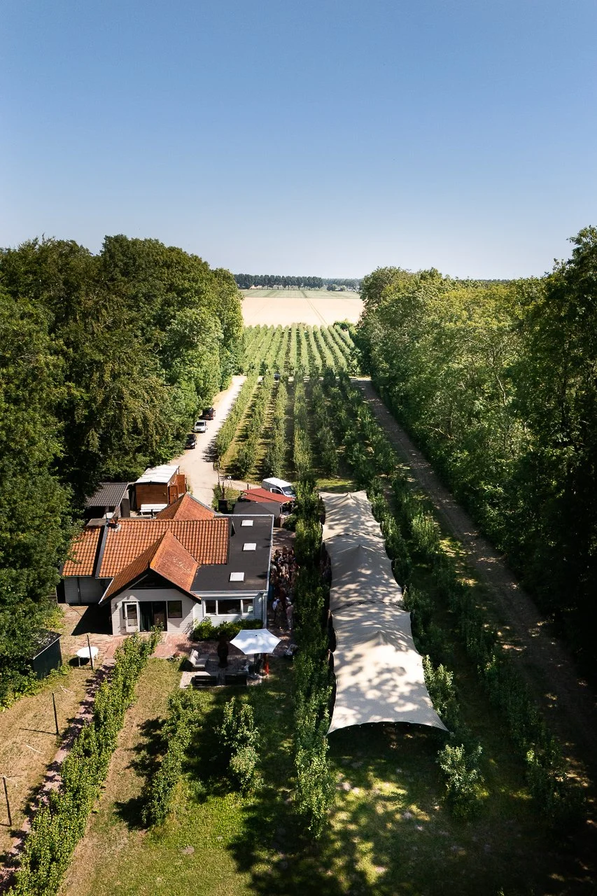 olmenhorst-voorbeeld-fotografie-vintage-wedding-boomgaard-droneshot.jpg