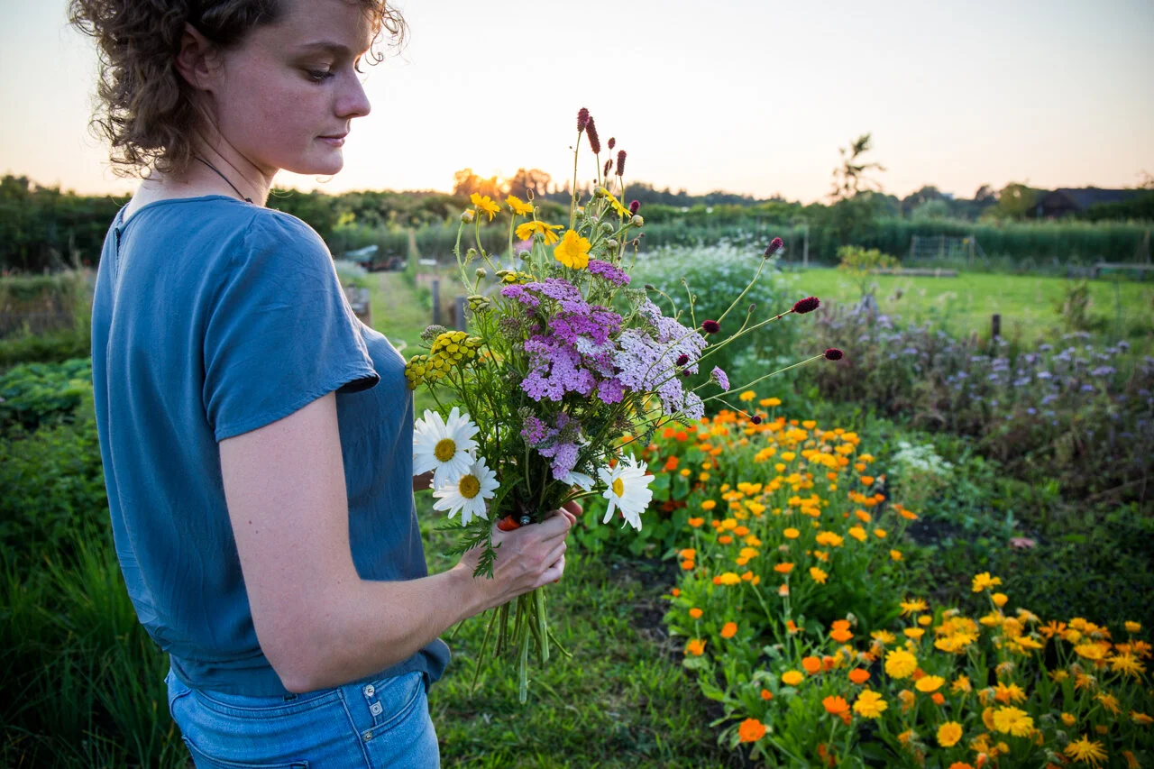 bloemen-tuin-voorbeeld-utrecht-Harskamp-fotograaf-bedrijf-koningshof.jpg