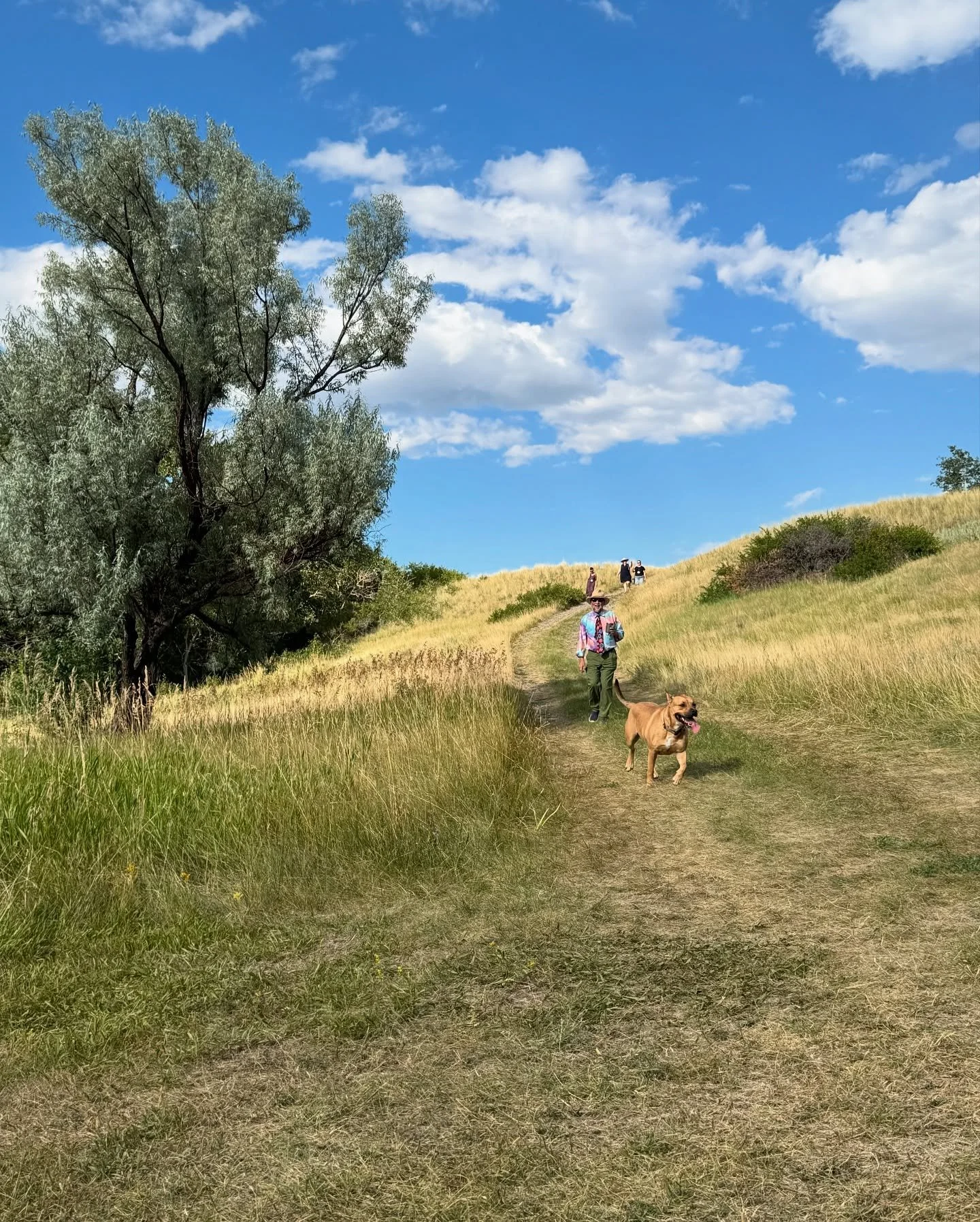 Plein Air on the Yellowstone 2025