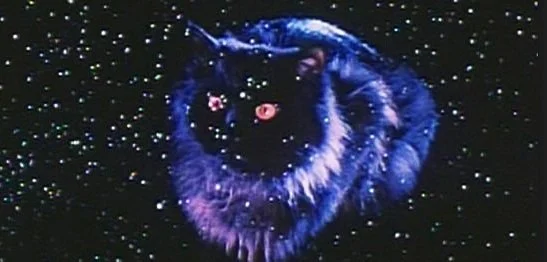 Cinema City, The boom years of Hong Kong cinema — The Cinemagic Theater