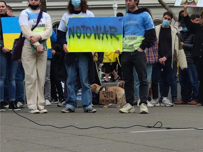 JustAnswer San Francisco stands with Ukraine