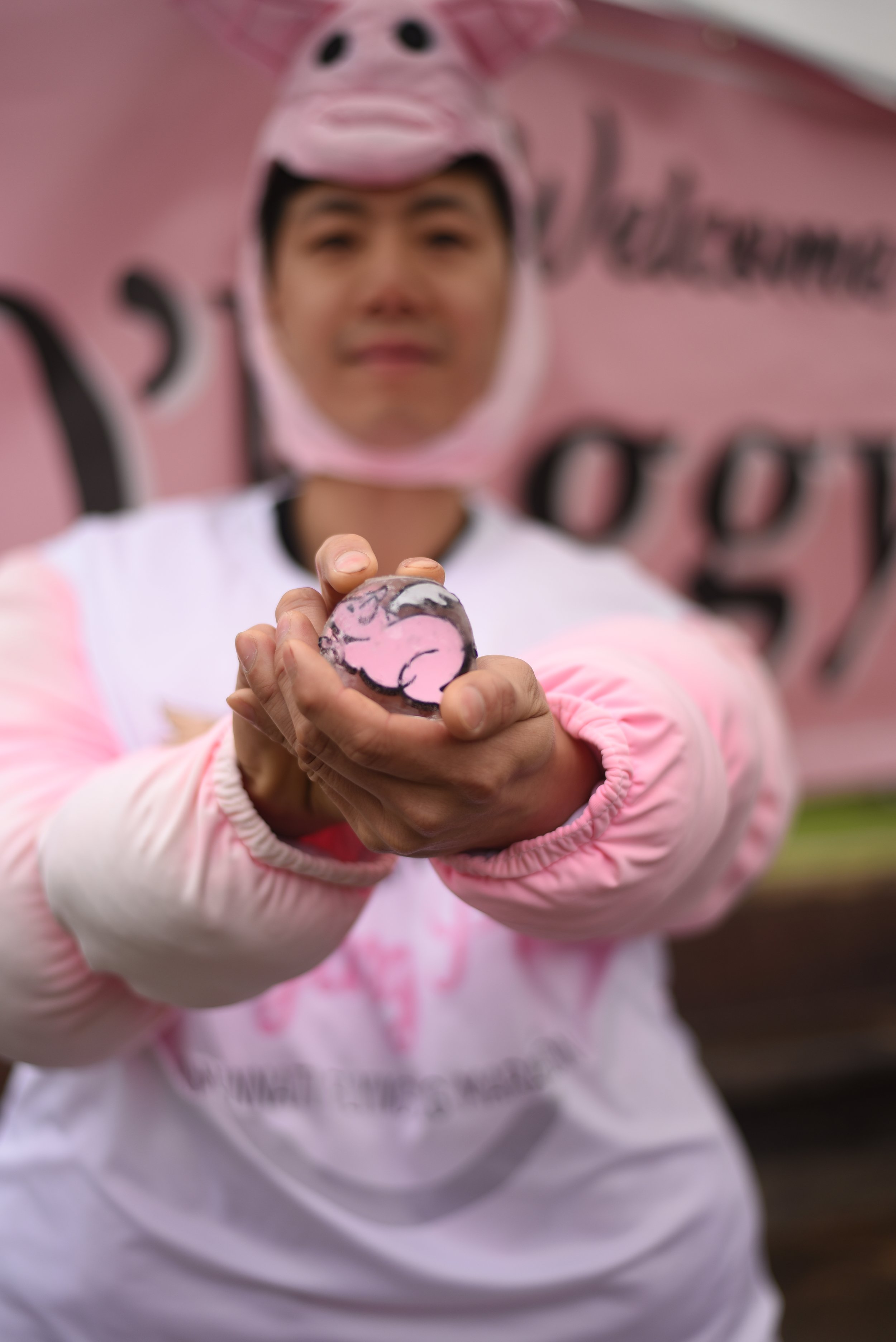 Welcome to O'Piggyville!