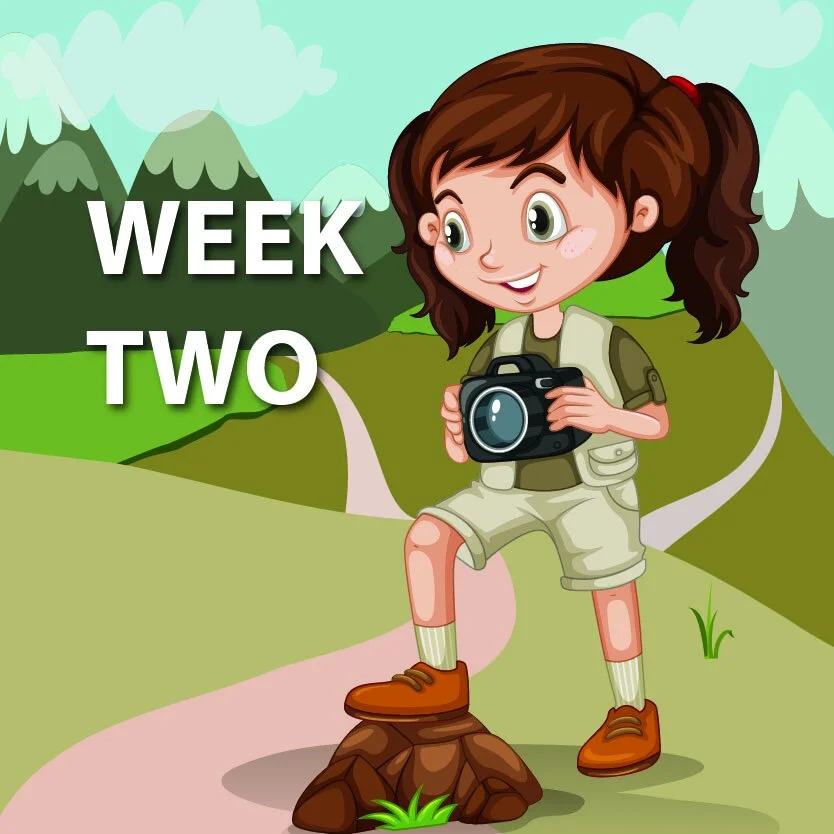 2 cinematography-01.jpg