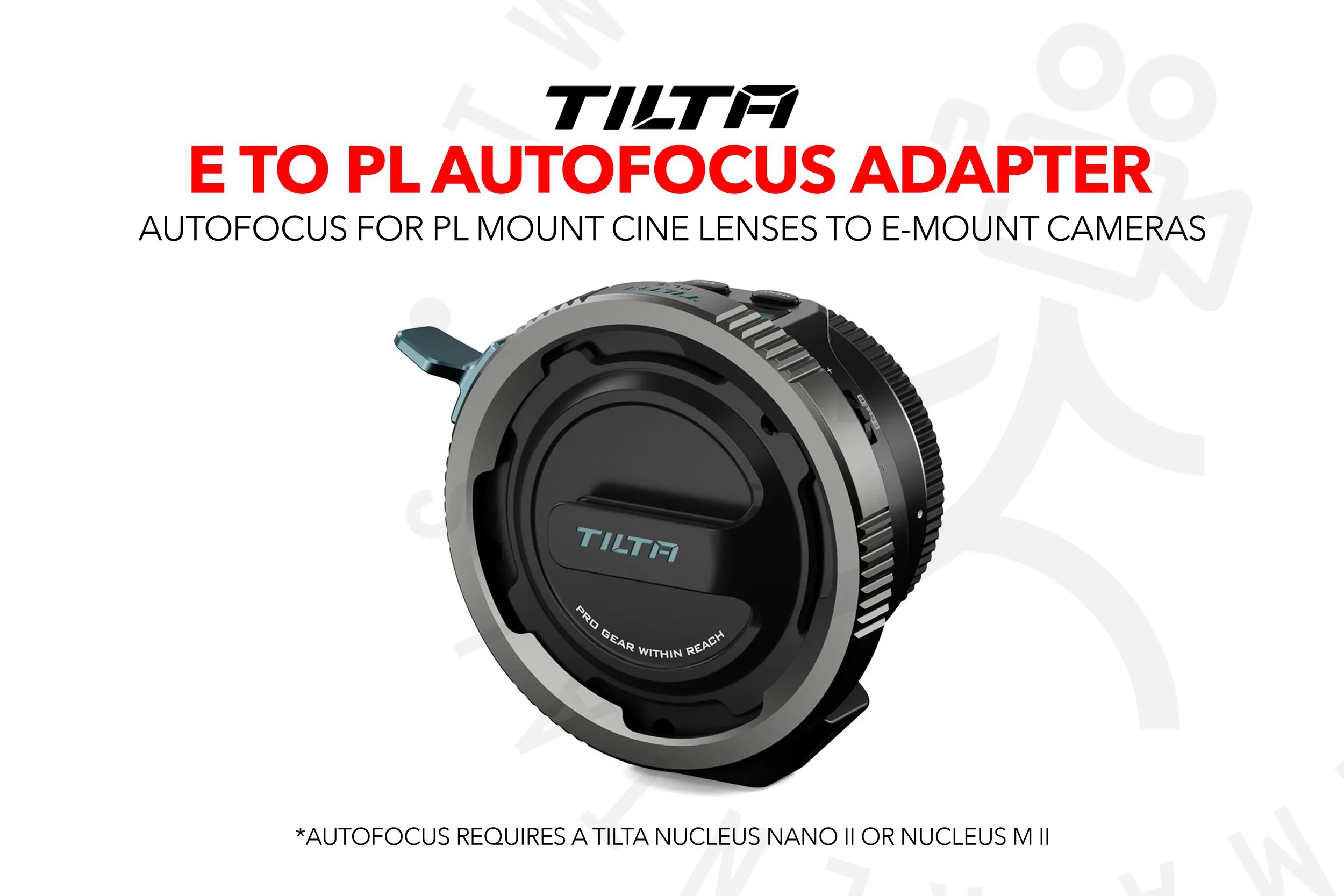 autofocus copy.jpg