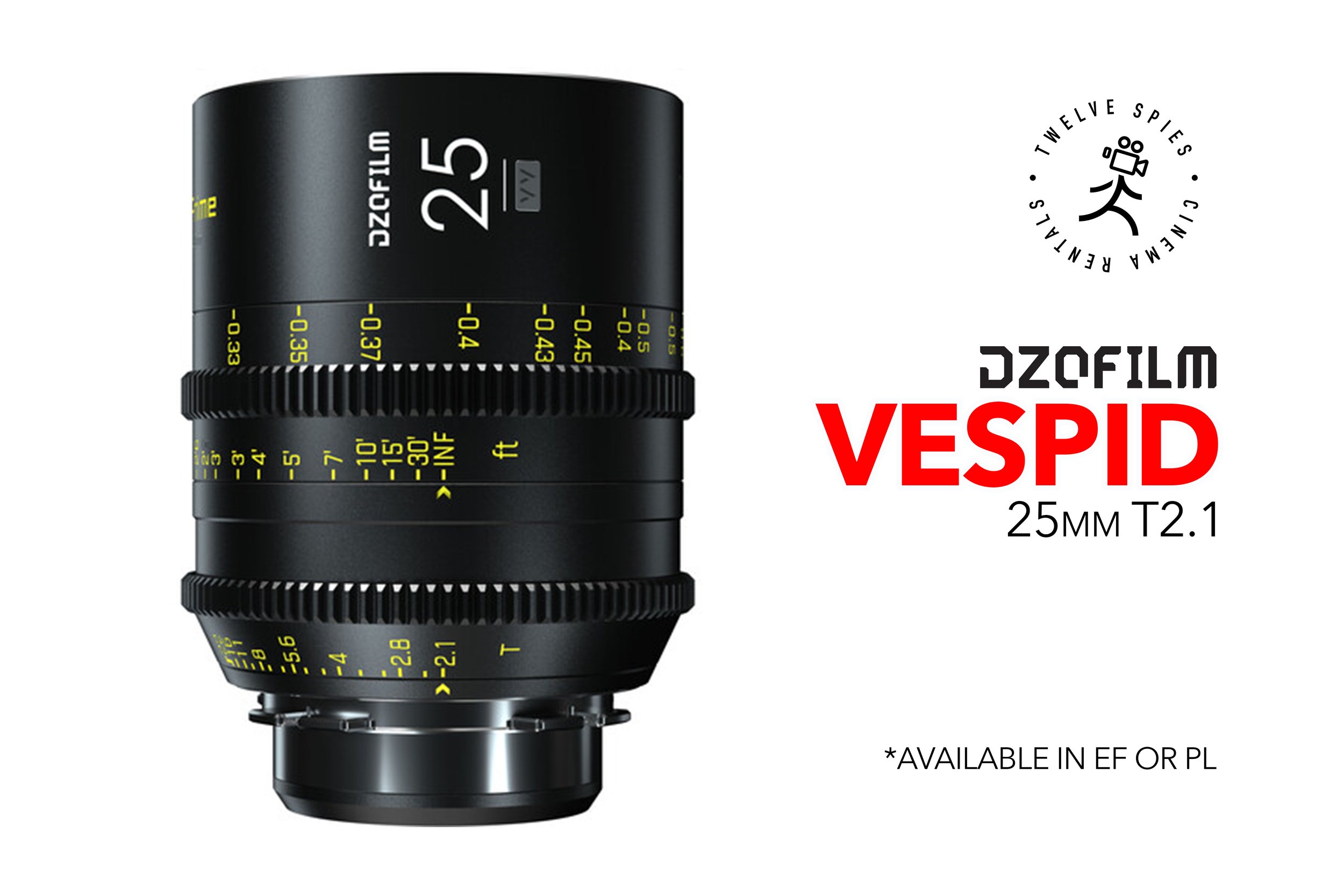 vespid 25 copy.jpg