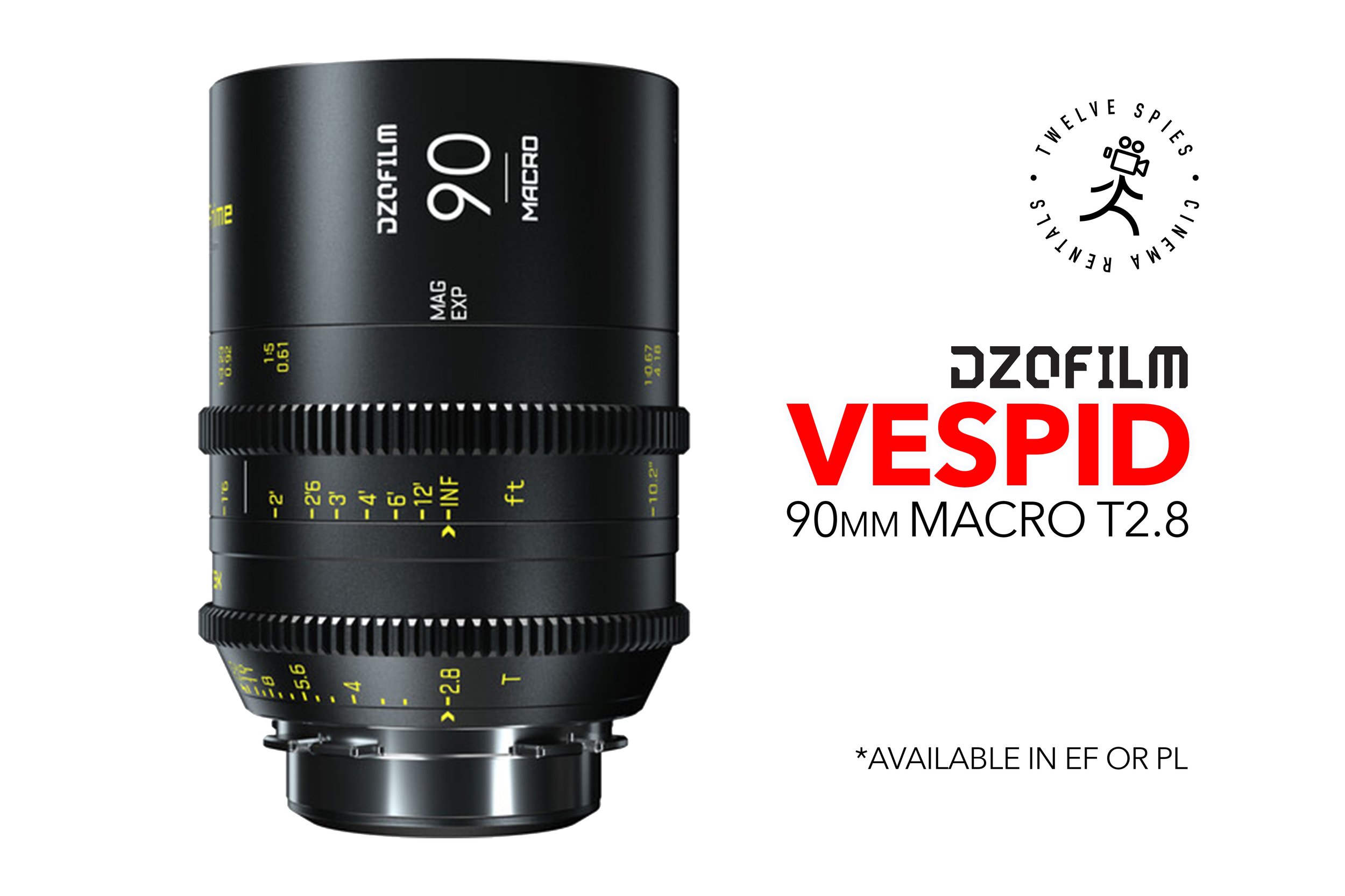 vespid 90 copy.jpg