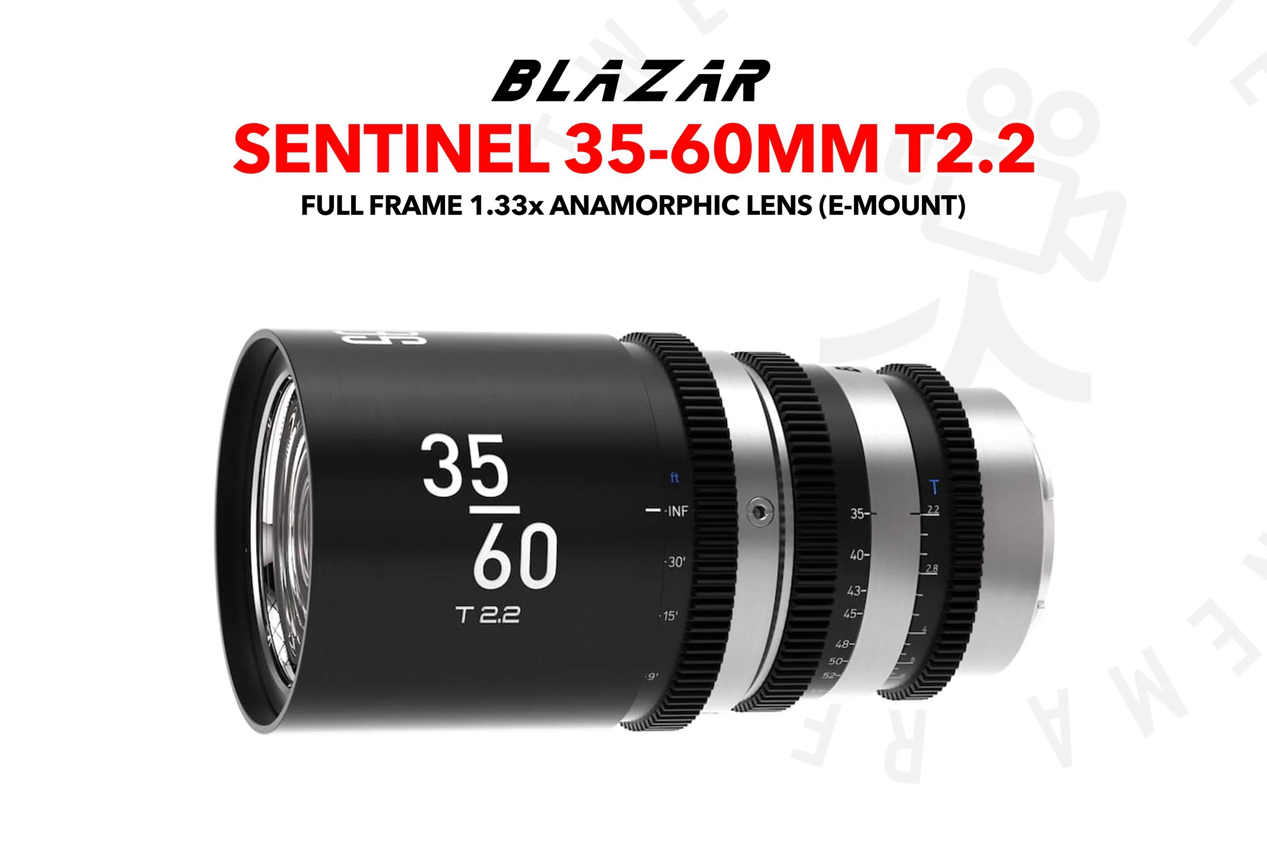 sentinel copy.jpg