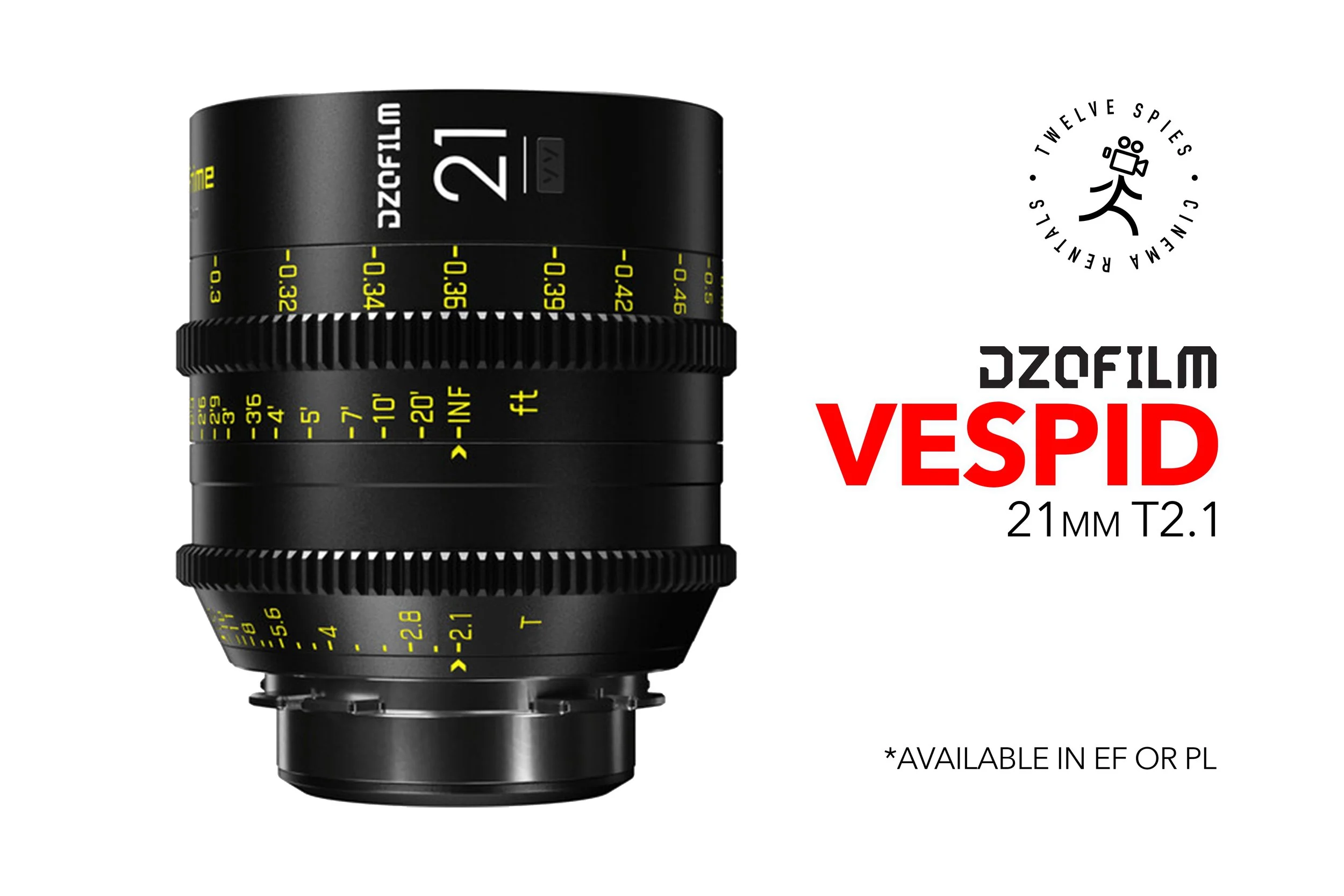 vespid 21 copy.jpg