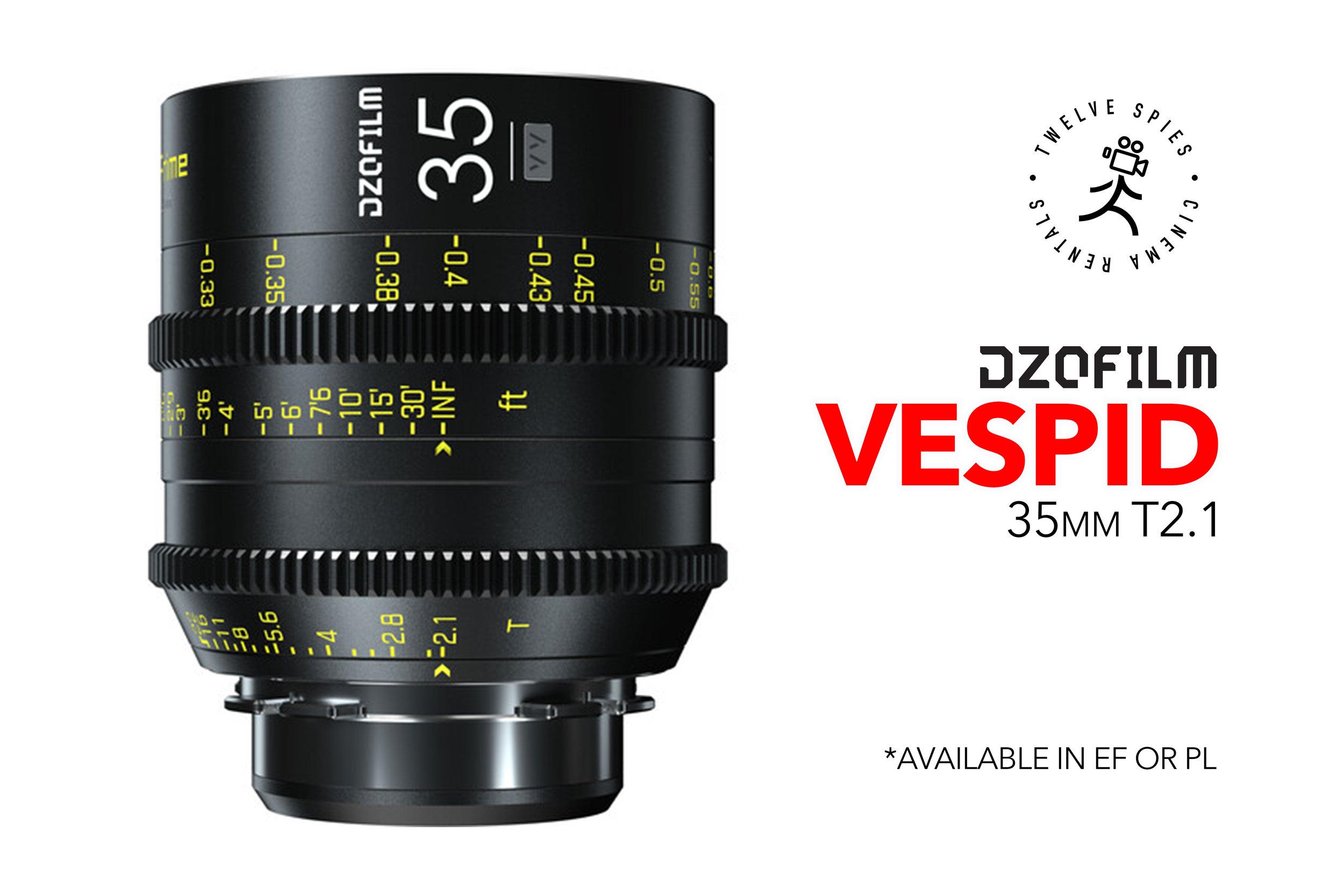 vespid 35 copy.jpg