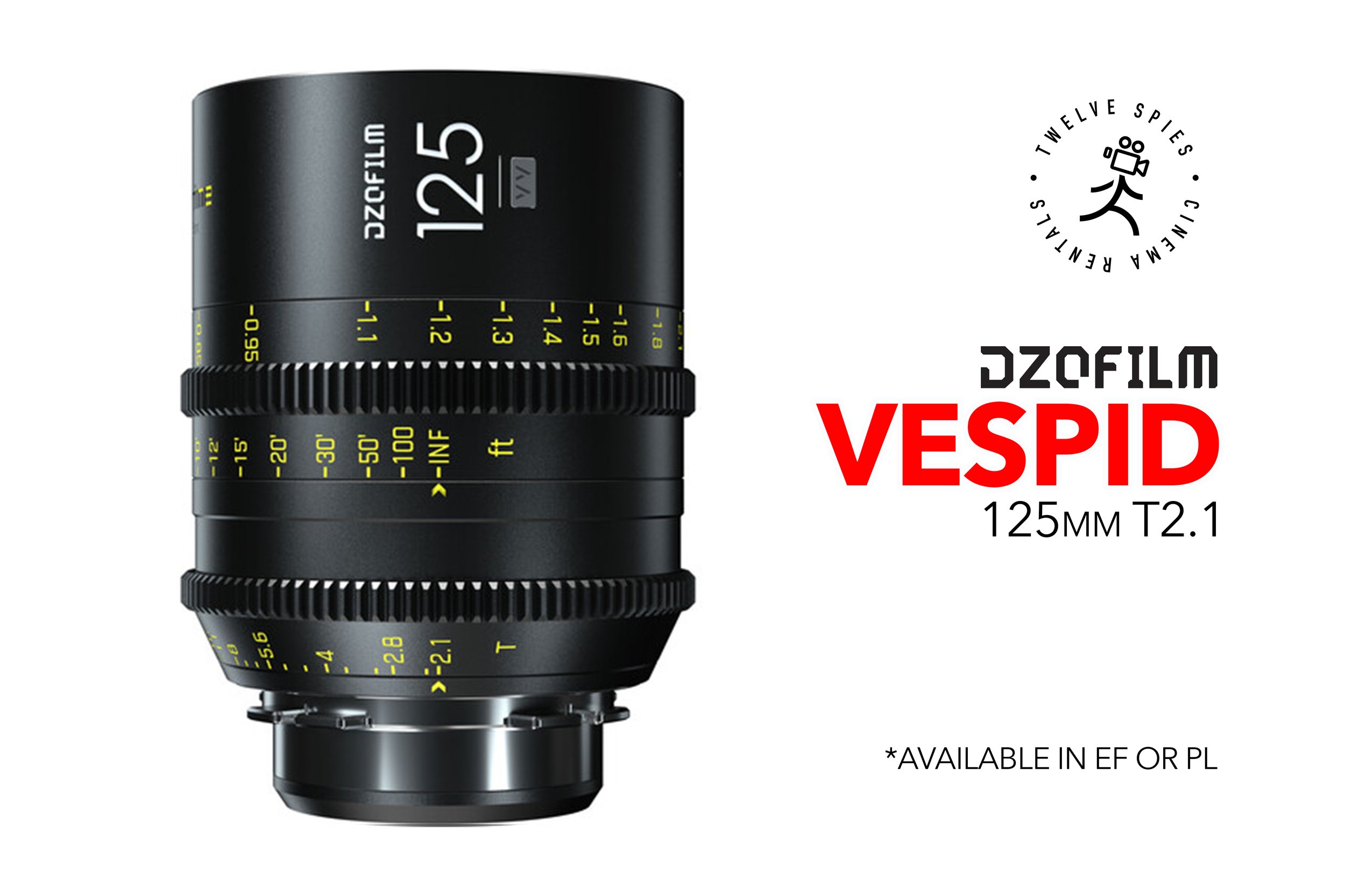 vespid 125 copy.jpg