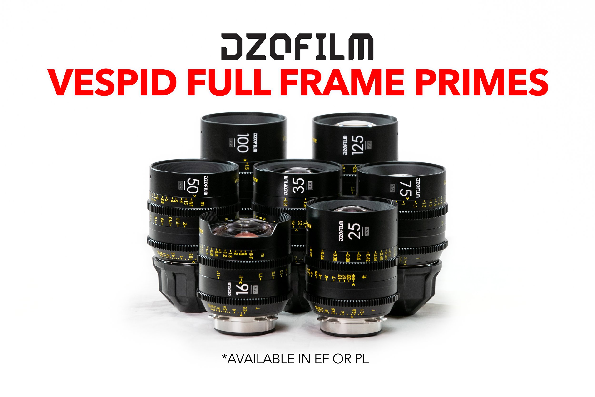vespid 7 lenses copy.jpg