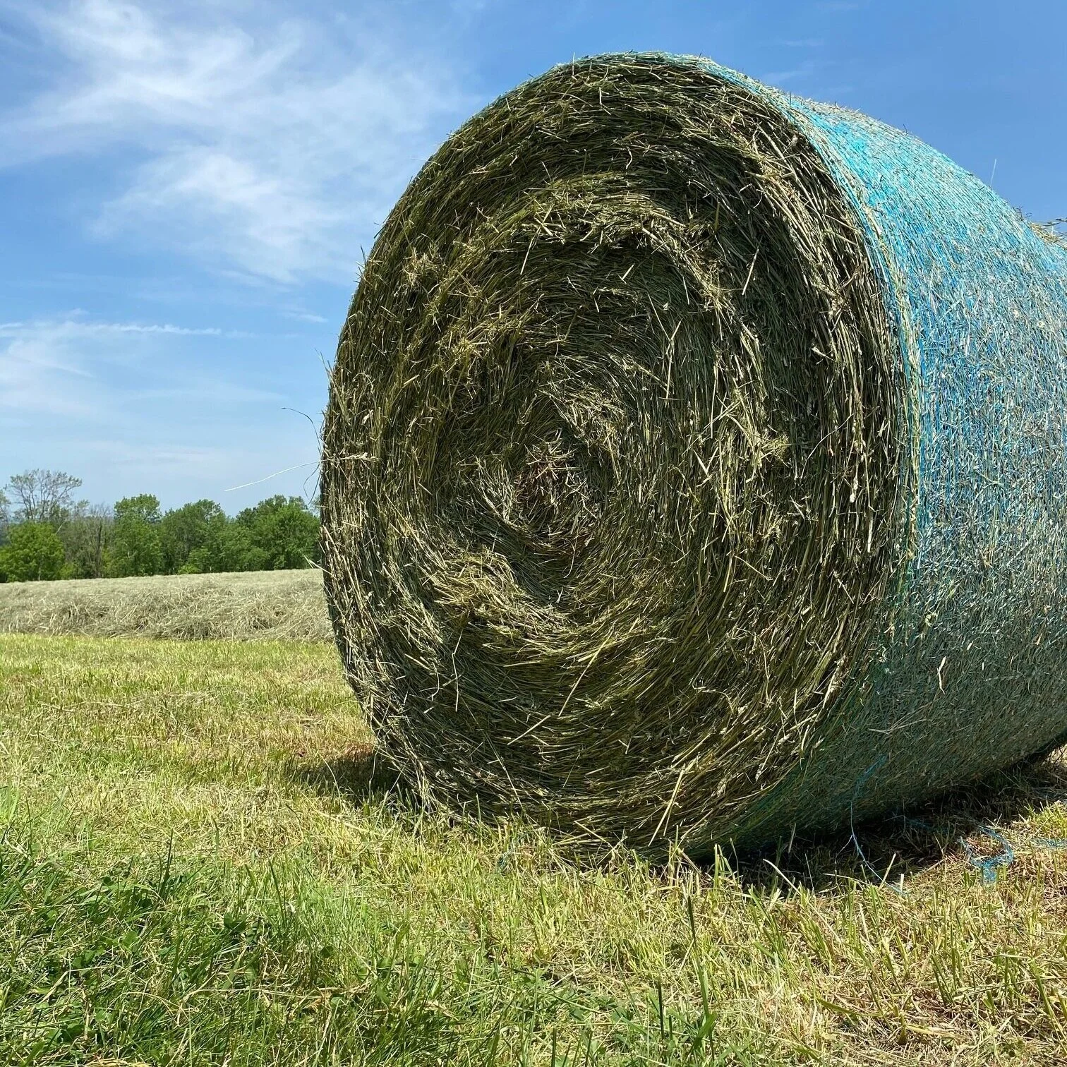 Deer Run Hay Company & Cattle: Quality Hay & Straw I Mini Cattle NJ